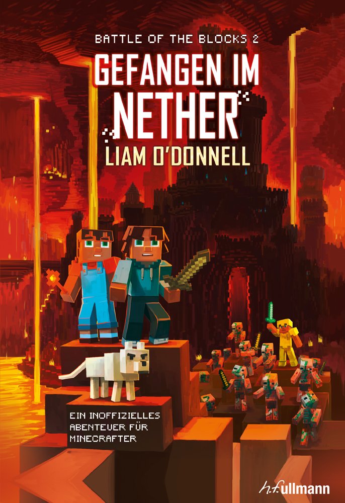 Gefangen im Nether Computer Science Books