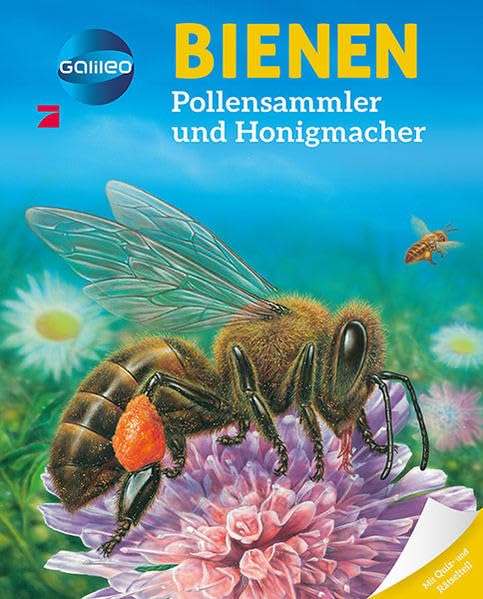 Galileo Wissen: Bienen General education