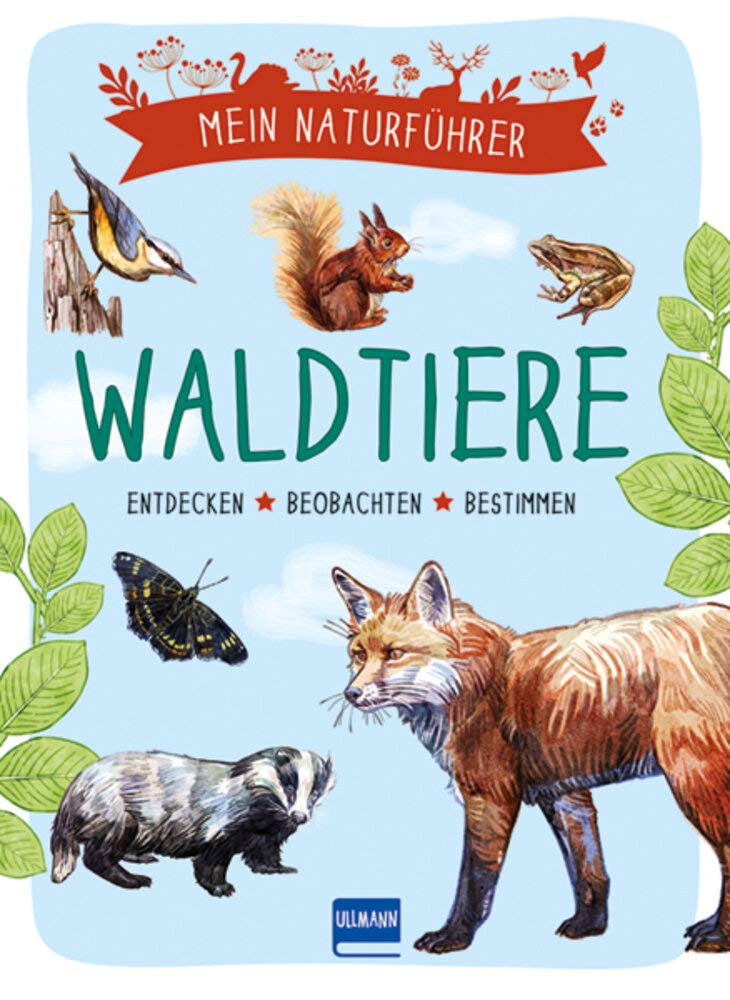 Mein Naturführer - Waldtiere Natural Sciences