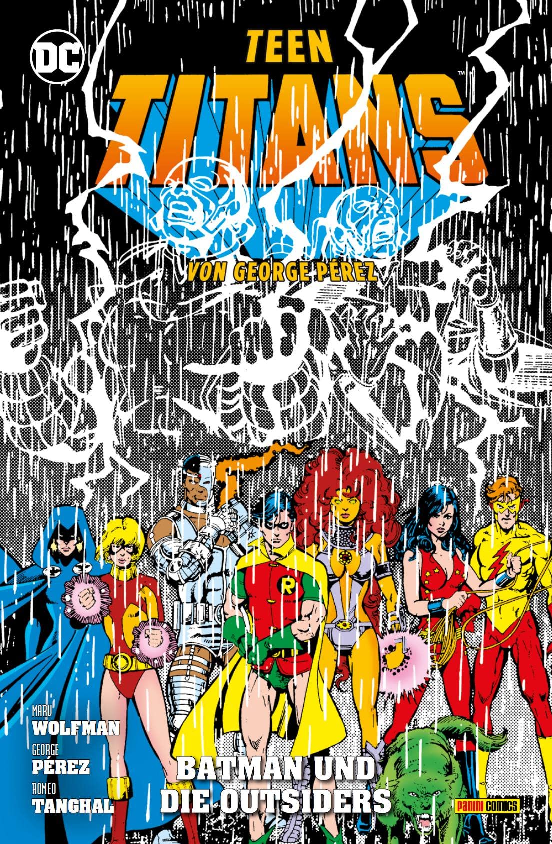 Teen Titans von George Perez: Bd. 6 (von 9): Batman und die Outsiders book