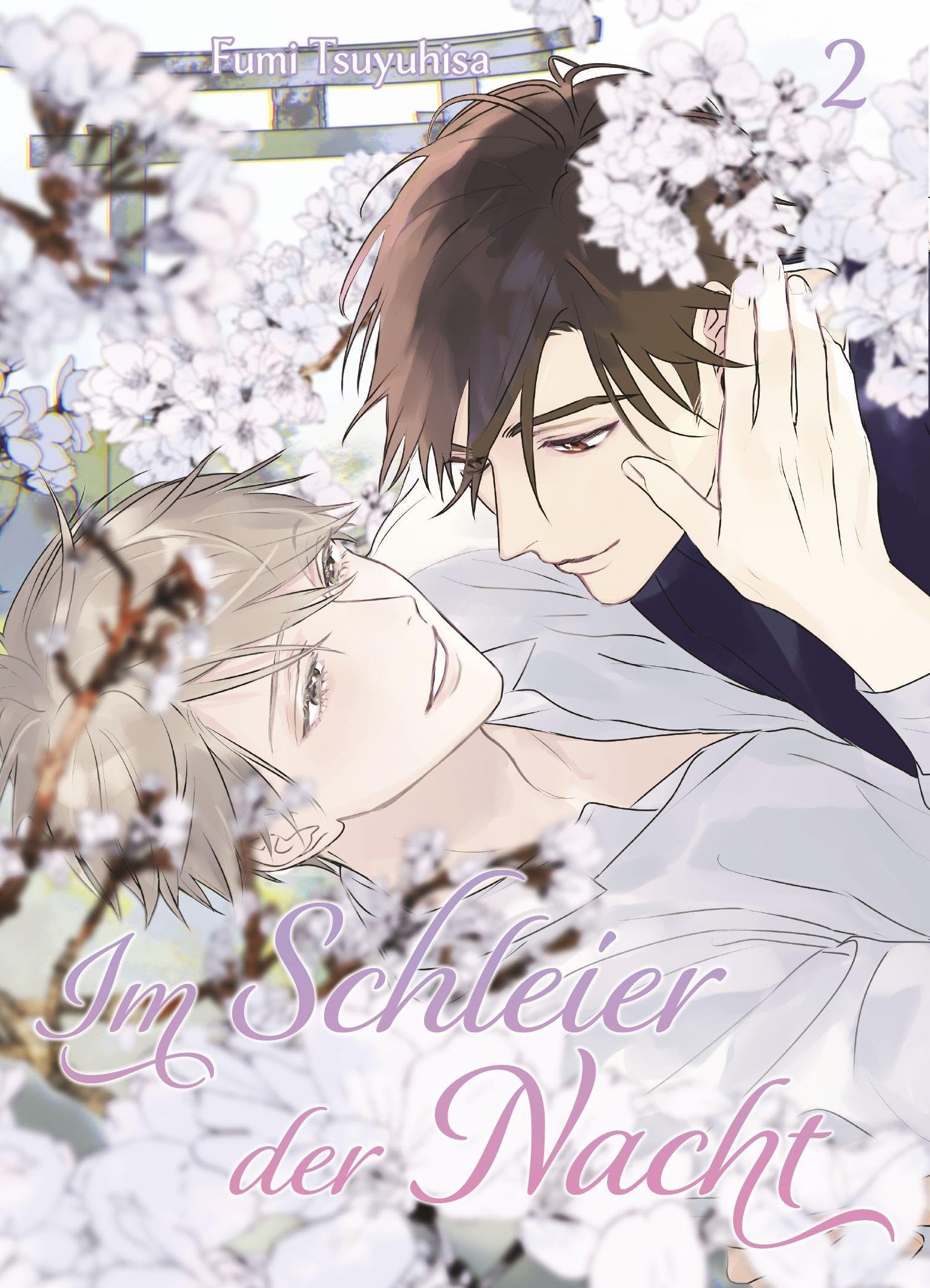 Im Schleier der Nacht 02 Manga