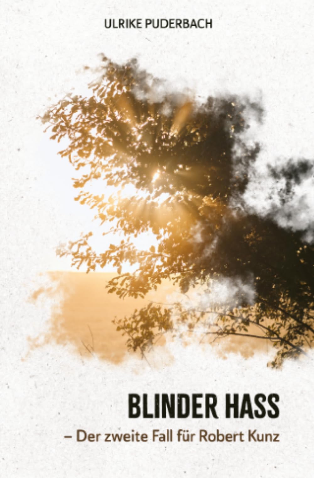 Blinder Hass (Hannover-Krimis) Contemporary literature
