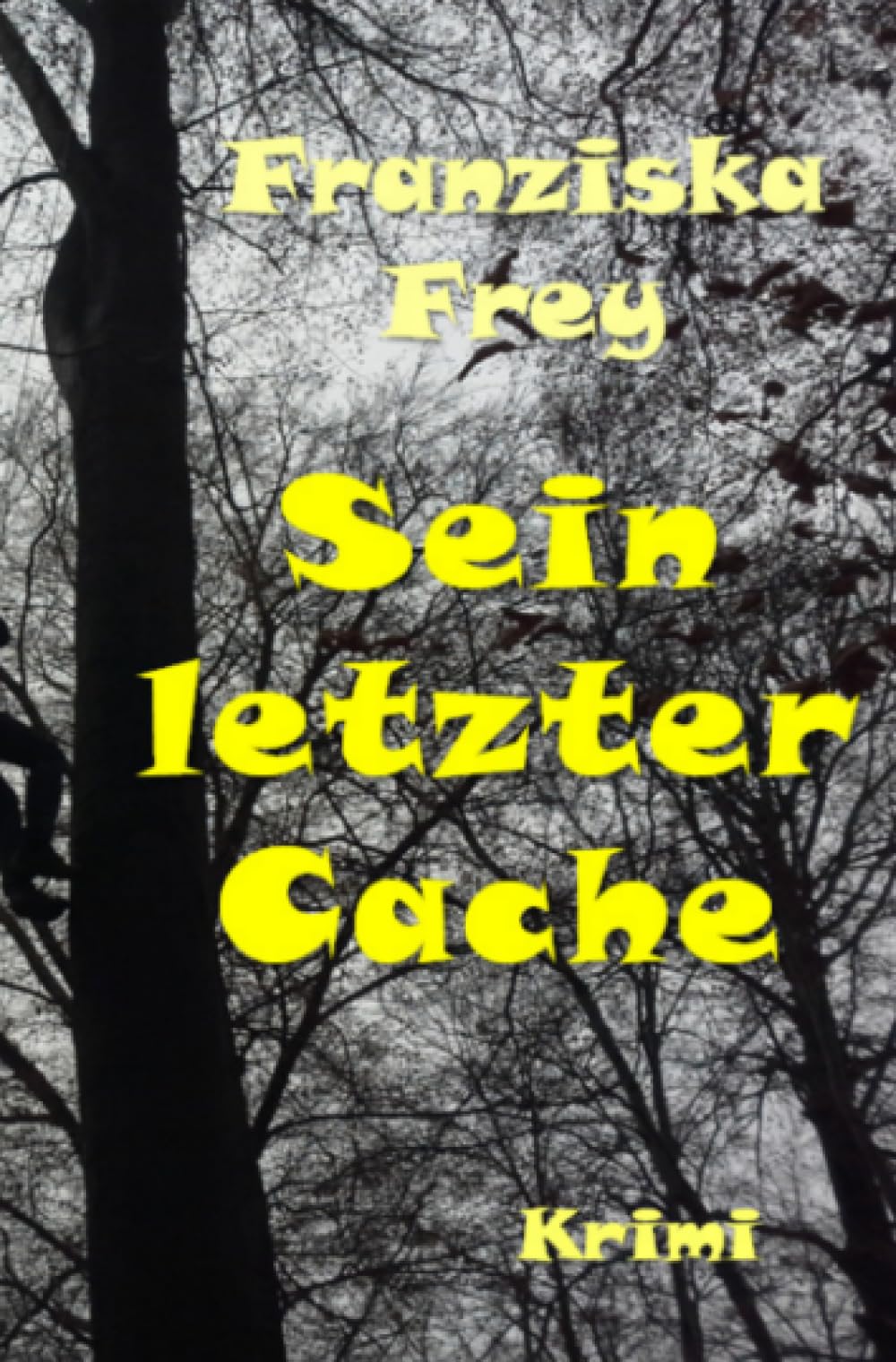 Sein letzter Cache: Krimi (Fälle der Kommissarin Günnur Meier) Contemporary literature