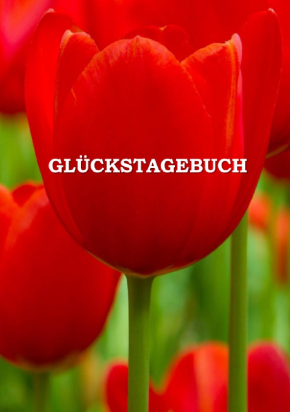 Glückstagebuch: Tag für Tag glücklicher Business, Finance & Career
