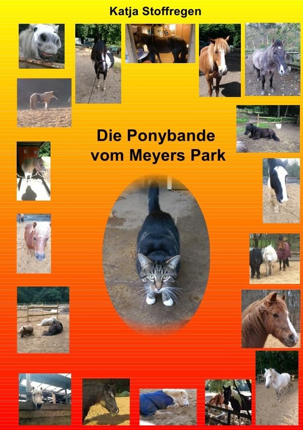 Die Ponybande vom Meyers Park Fiction