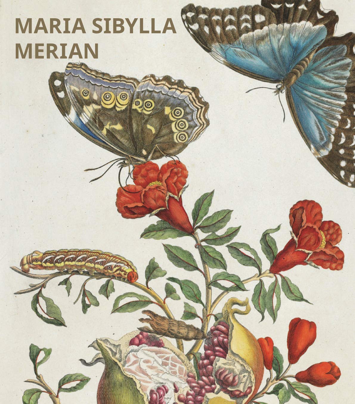 Maria Sibylla Merian, 12 Kunstposter Film, Art & Culture