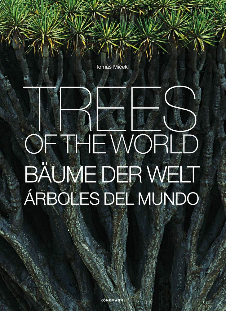 Bäume der Welt. Trees of the World / Árboles del Mundo Leisure, Home & Garden