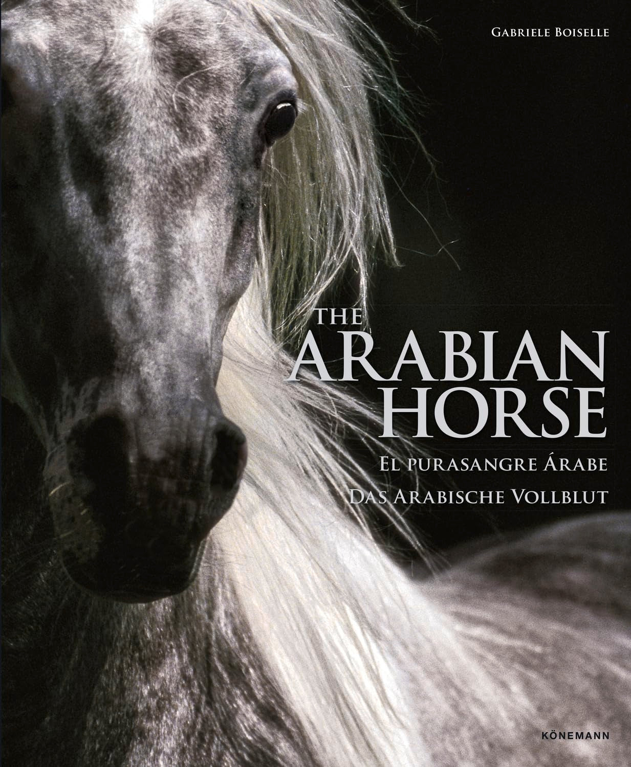 The Arabian Horse Nature & Animals