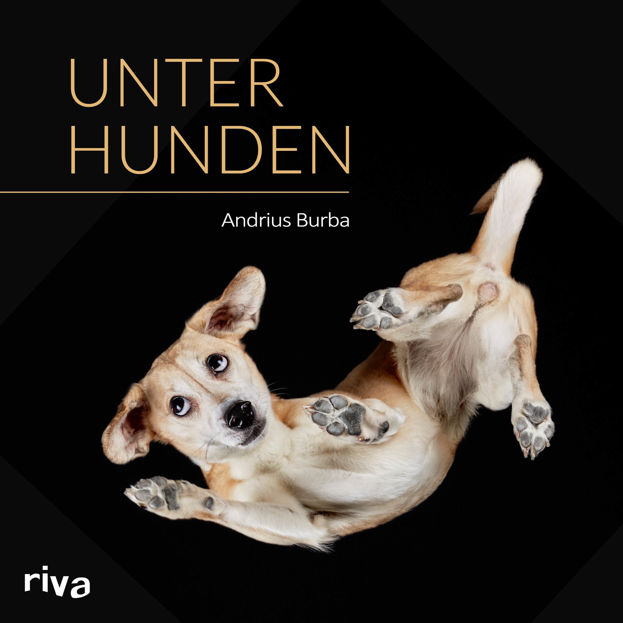 Unter Hunden Humour & Satire