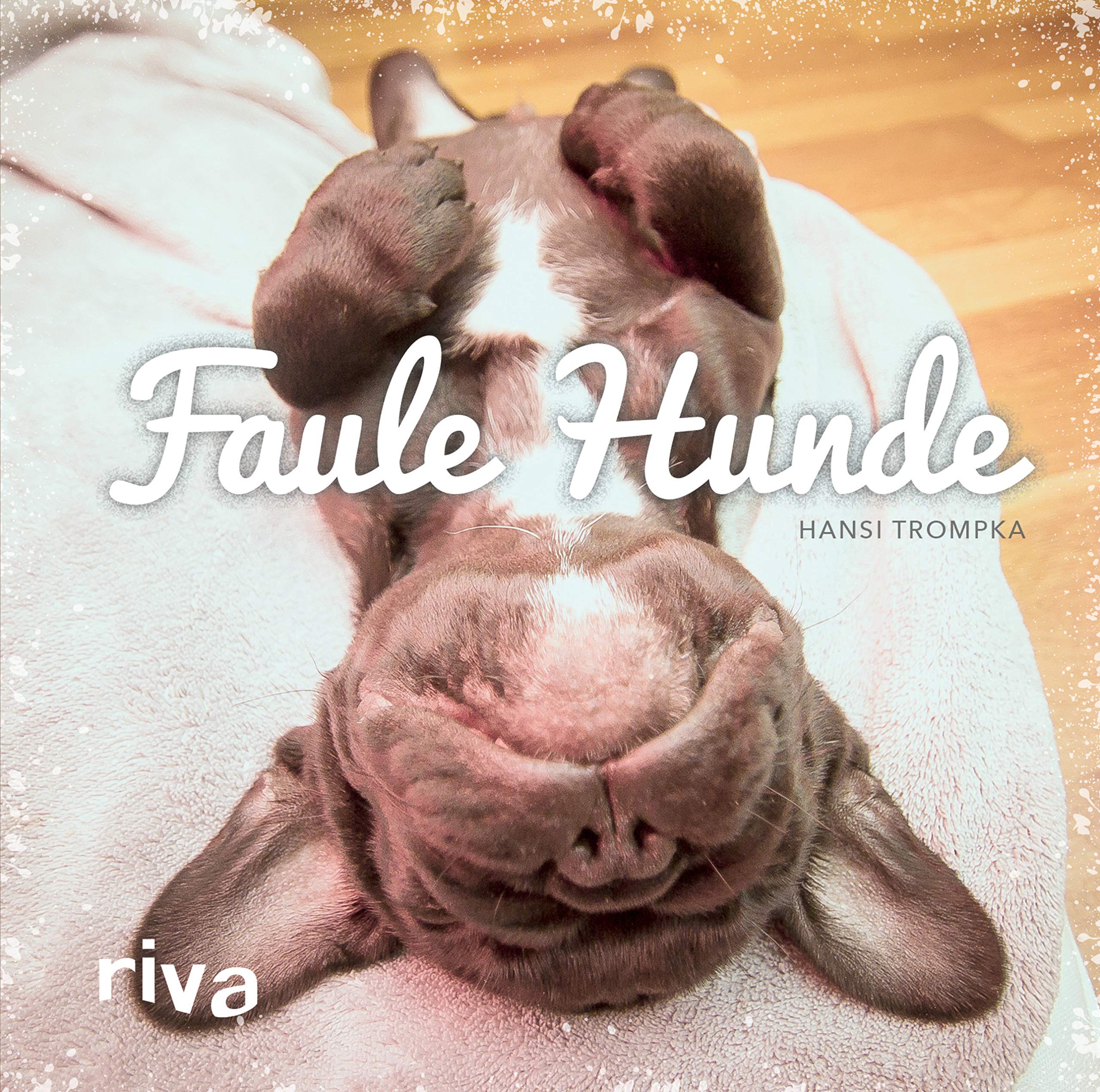 Faule Hunde Living & Furnishing