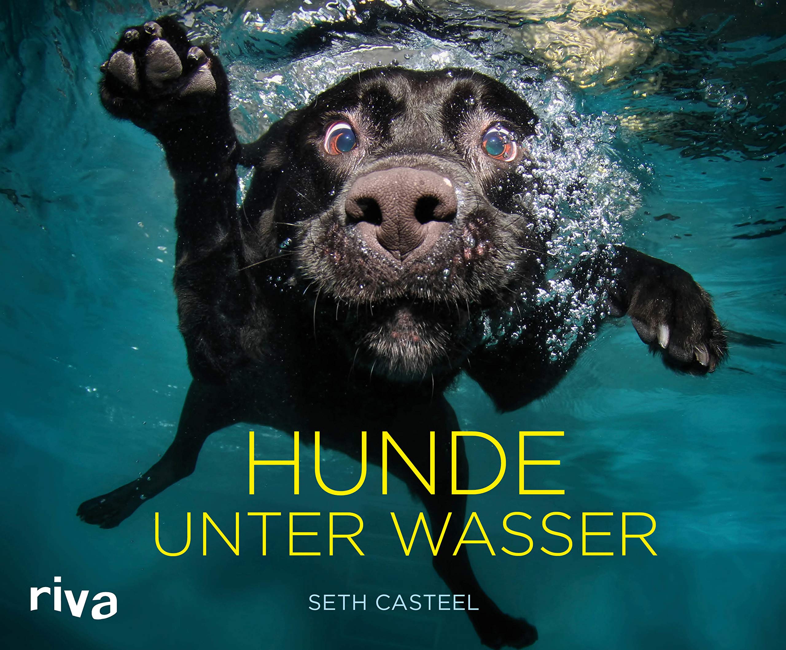 Hunde unter Wasser Lifestyle Books