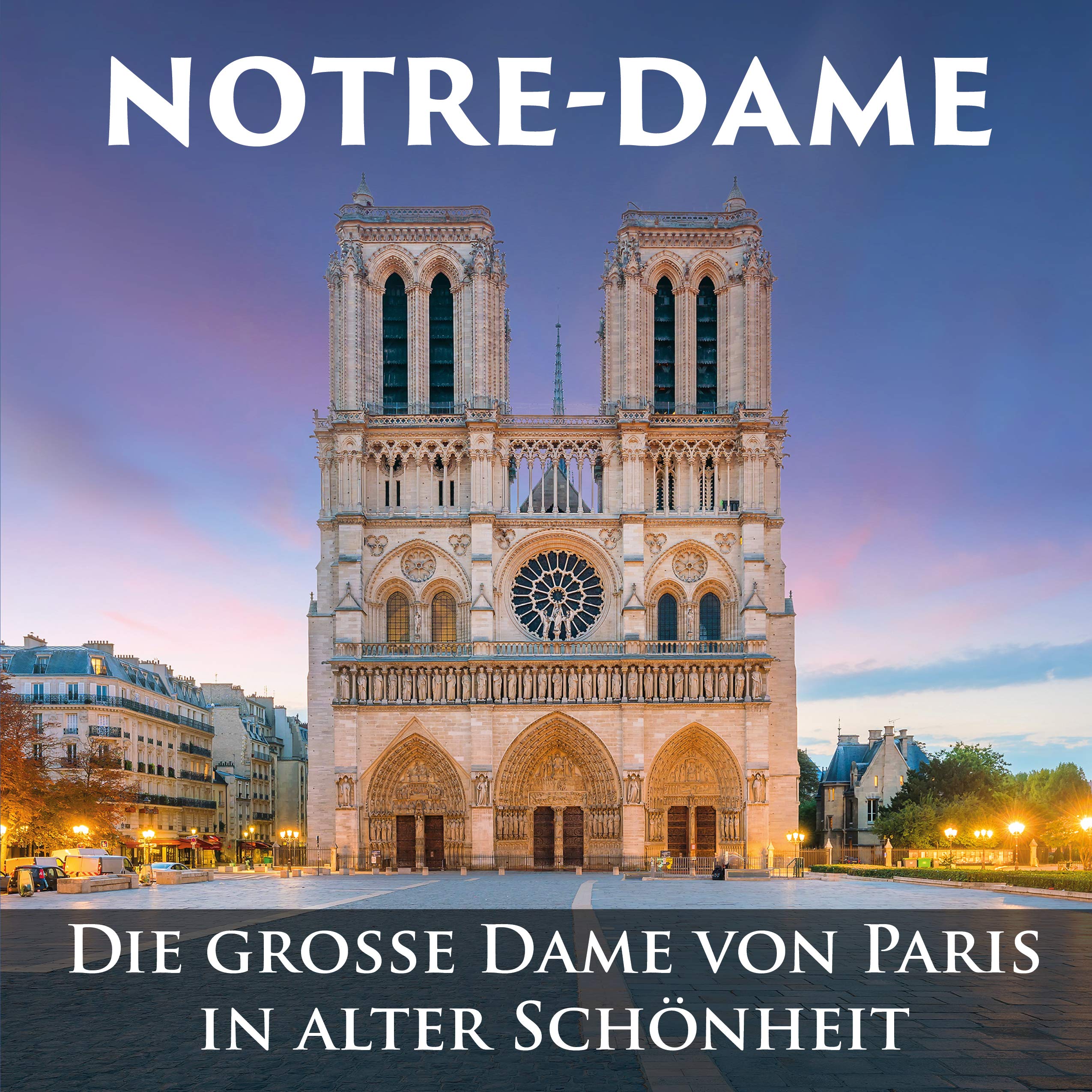 Notre-Dame Architecture Books