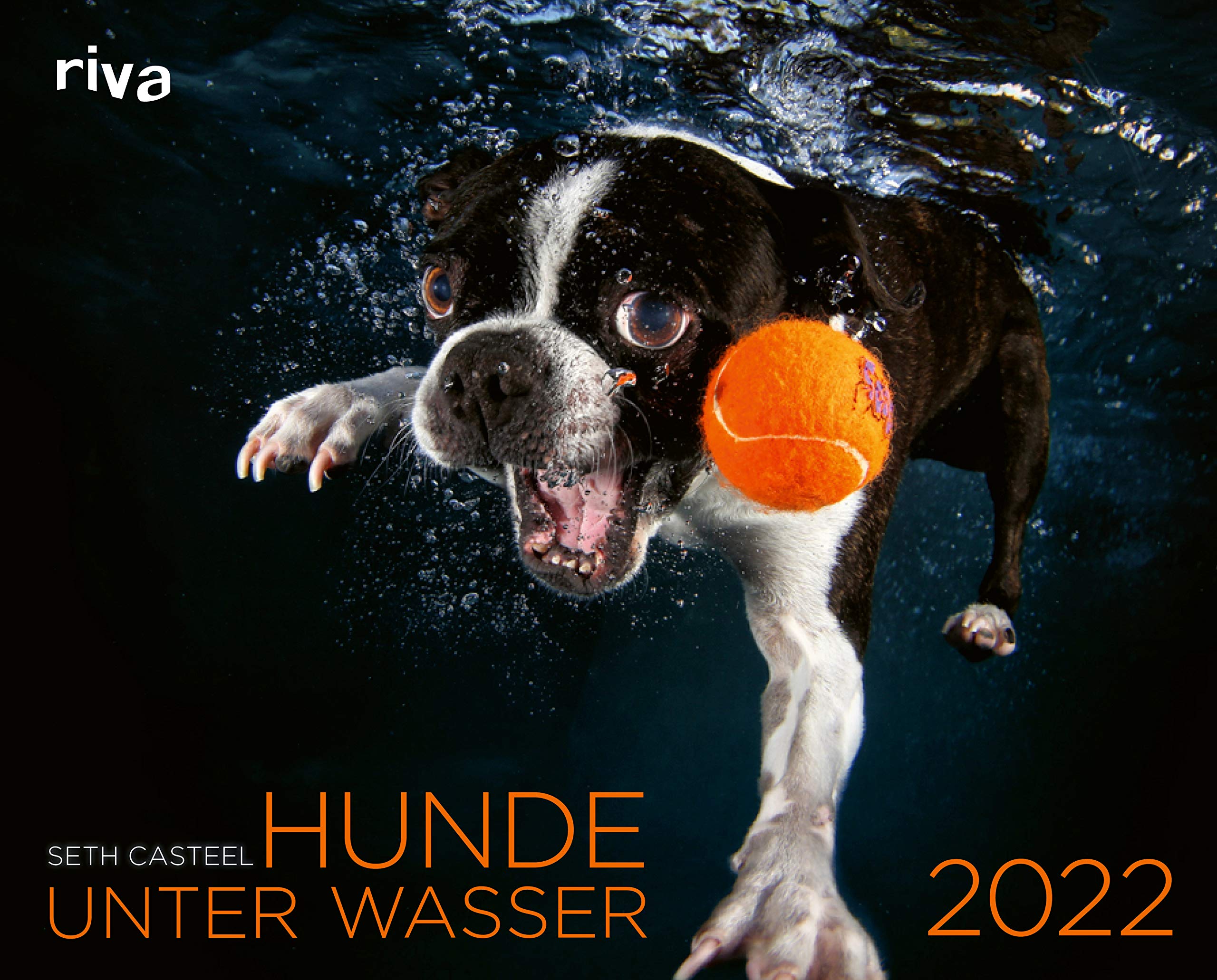 Hunde unter Wasser 2022: Wandkalender Lifestyle