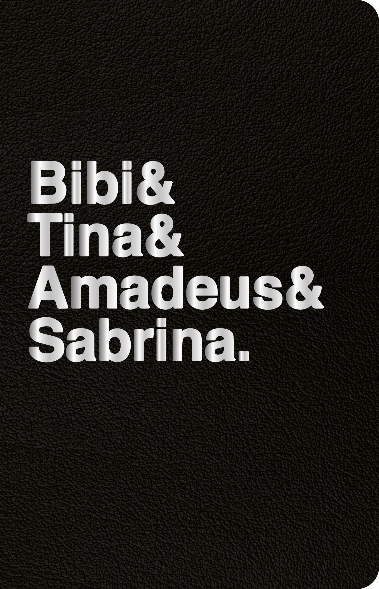 Bibi & Tina & Amadeus & Sabrina Living & Furnishing Books
