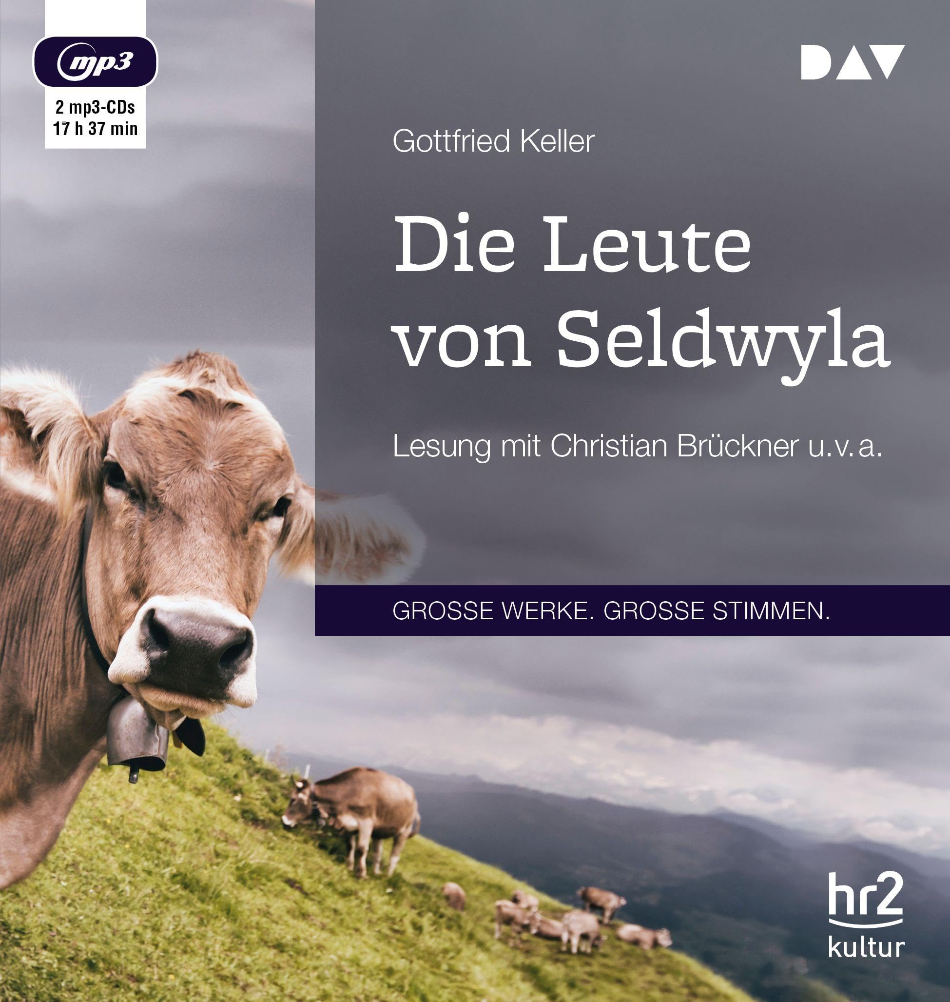 Die Leute von Seldwyla: Lesung mit Christian Brückner u. v. a. (2 mp3-CDs) Social Sciences