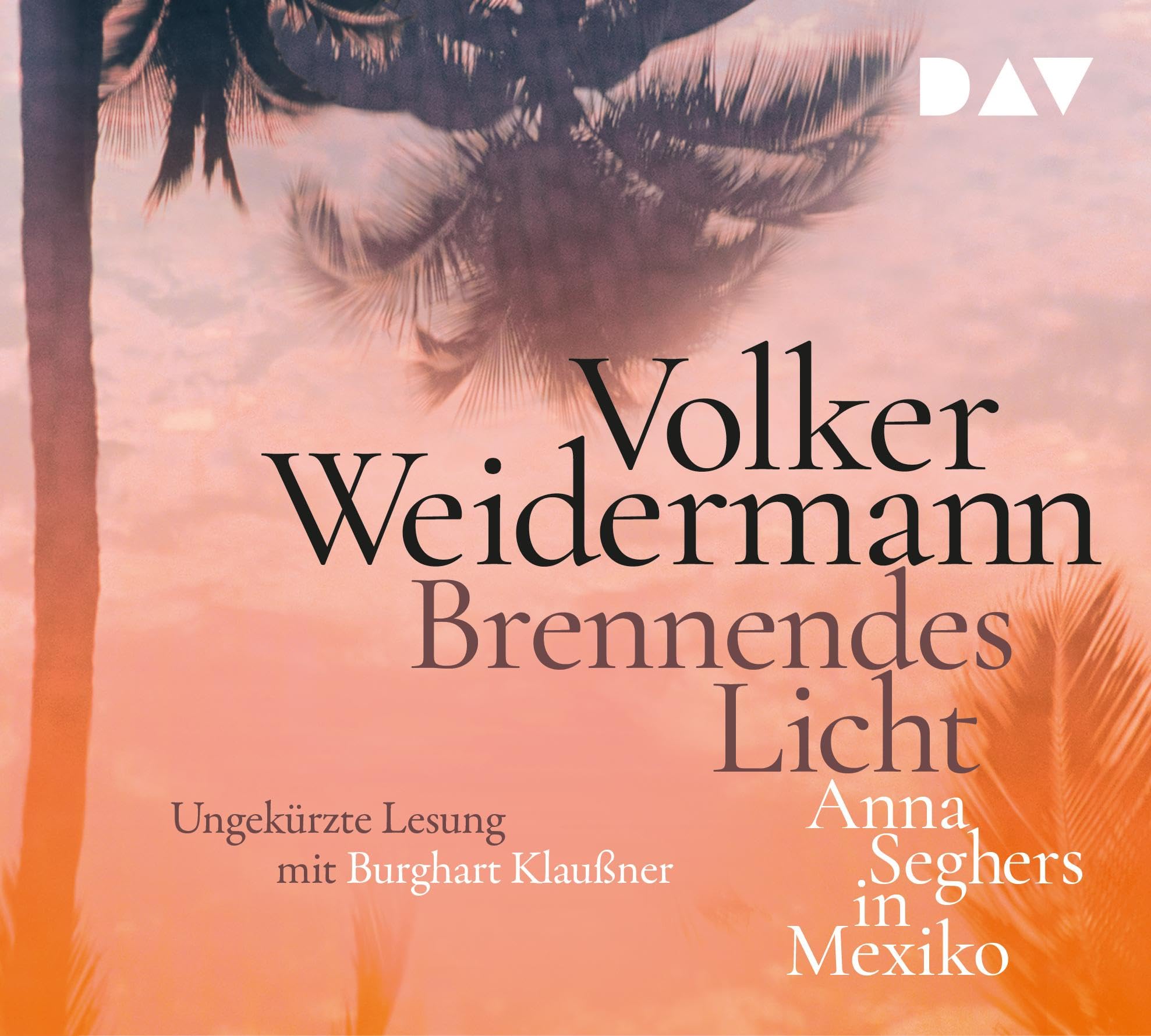 Brennendes Licht.Anna Seghers in Mexiko Music