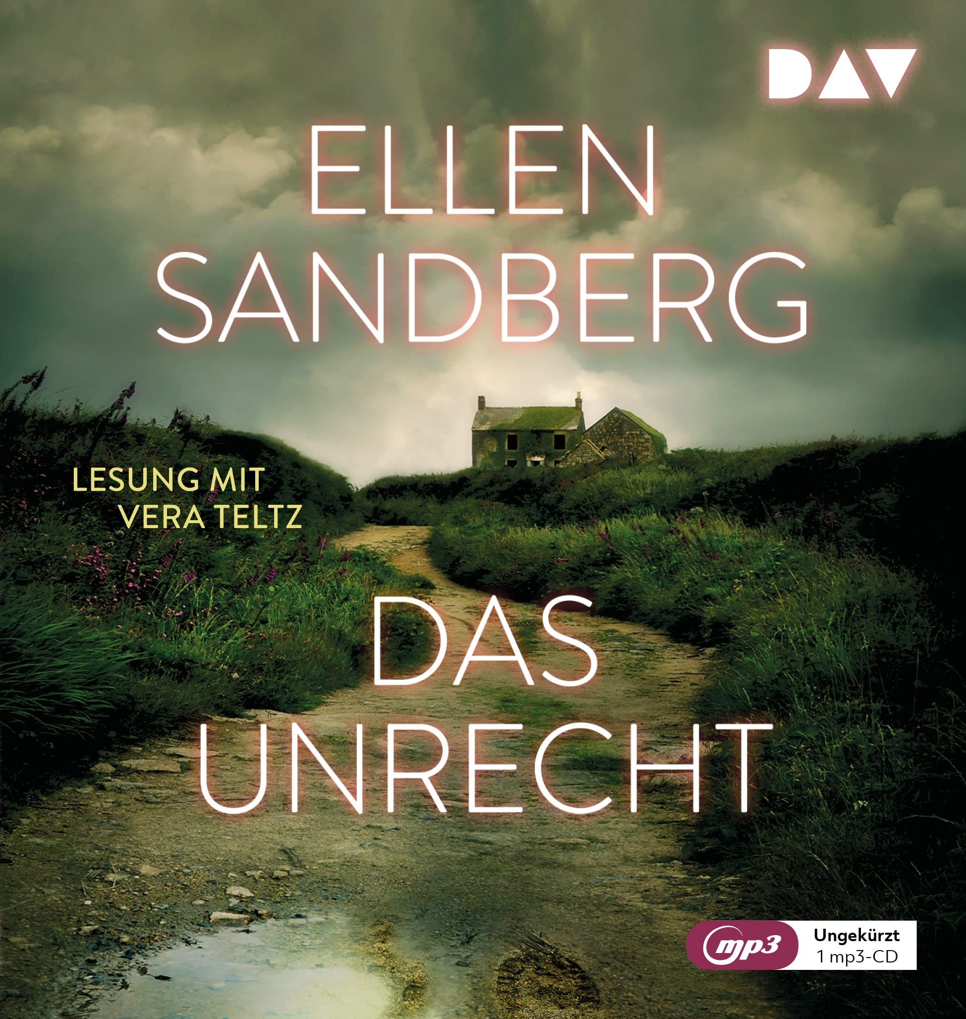 Das Unrecht Contemporary literature Books