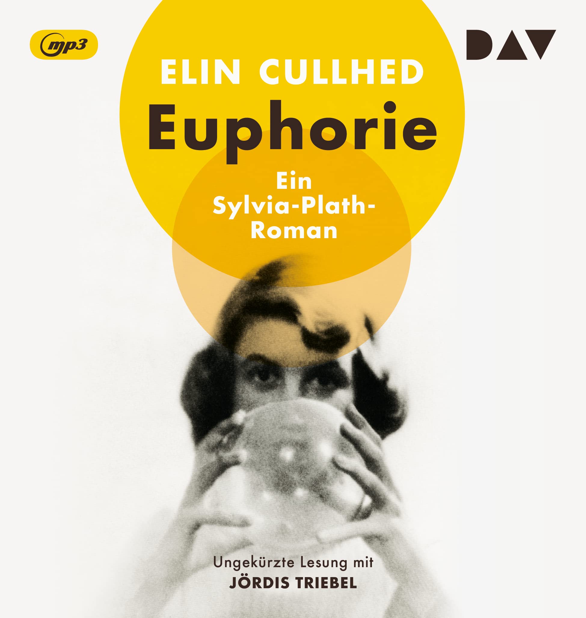 Euphorie. Ein Sylvia-Plath-Roman Contemporary literature Books