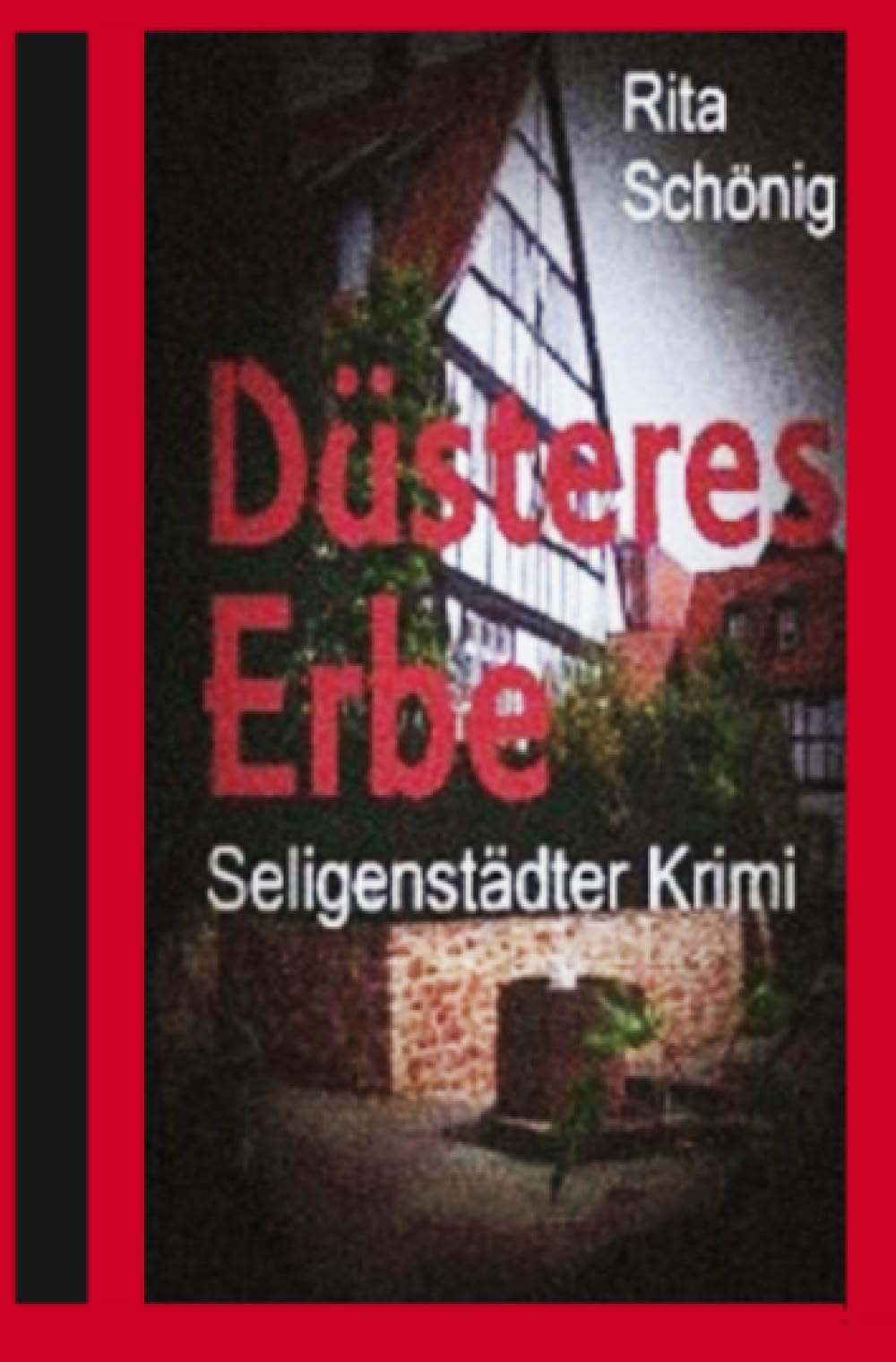 Düsteres Erbe: Seligenstädter Krimi Contemporary literature