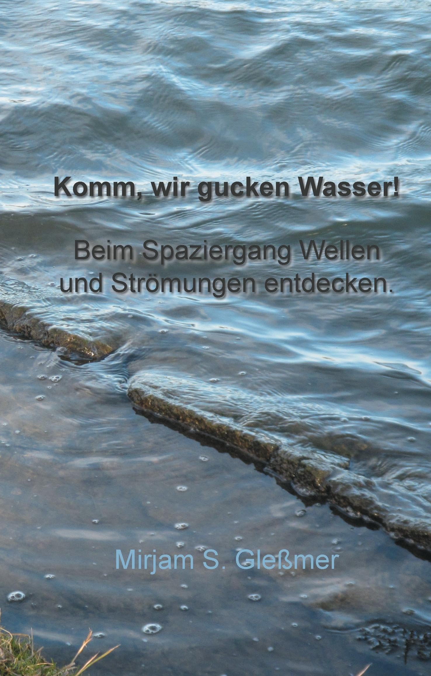 Komm, wir gucken Wasser!: Beim Spaziergang Wellen und Strömungen entdecken book