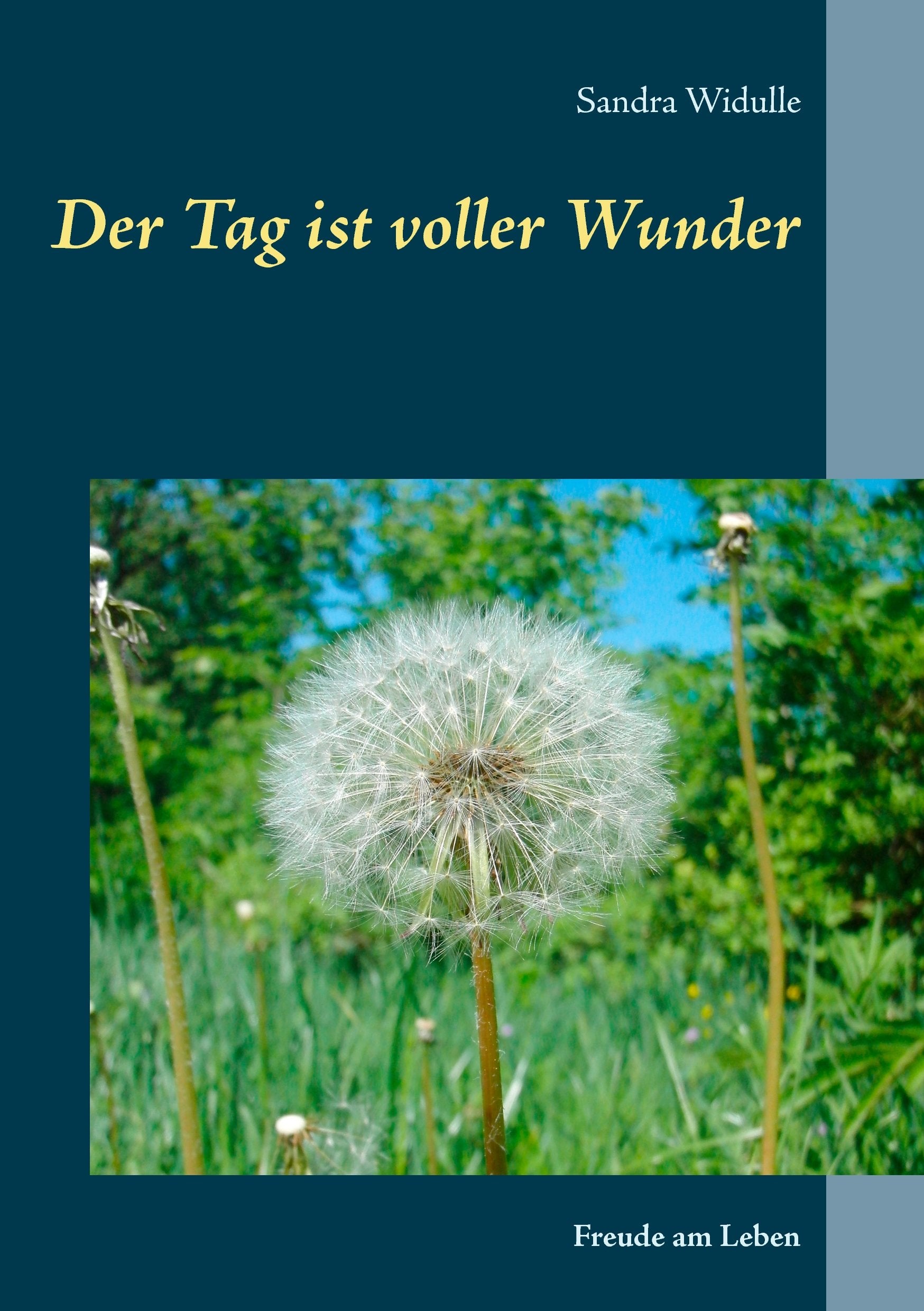 Product Image: Der Tag ist voller Wunder