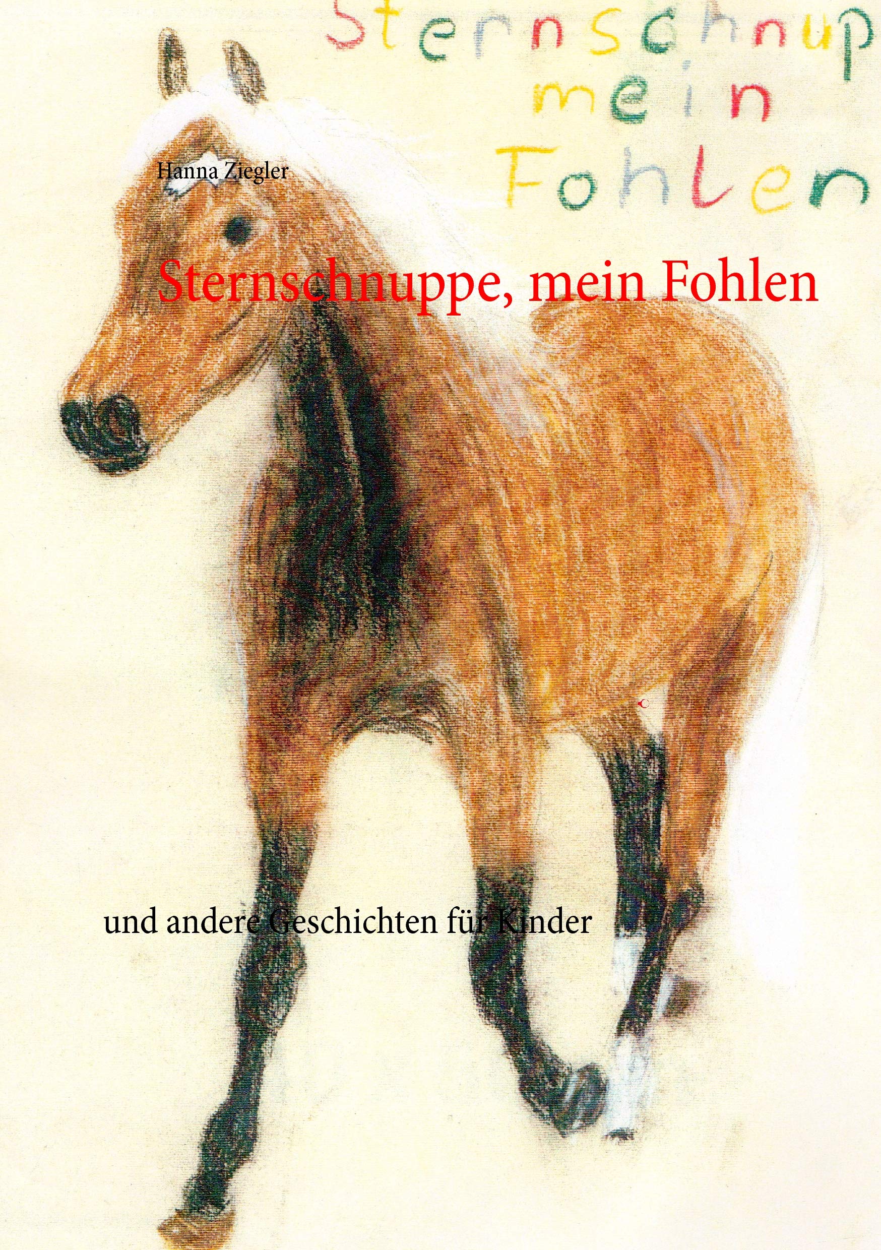 Sternschnuppe, mein Fohlen: und andere Geschichten für Kinder Novels & Short Stories