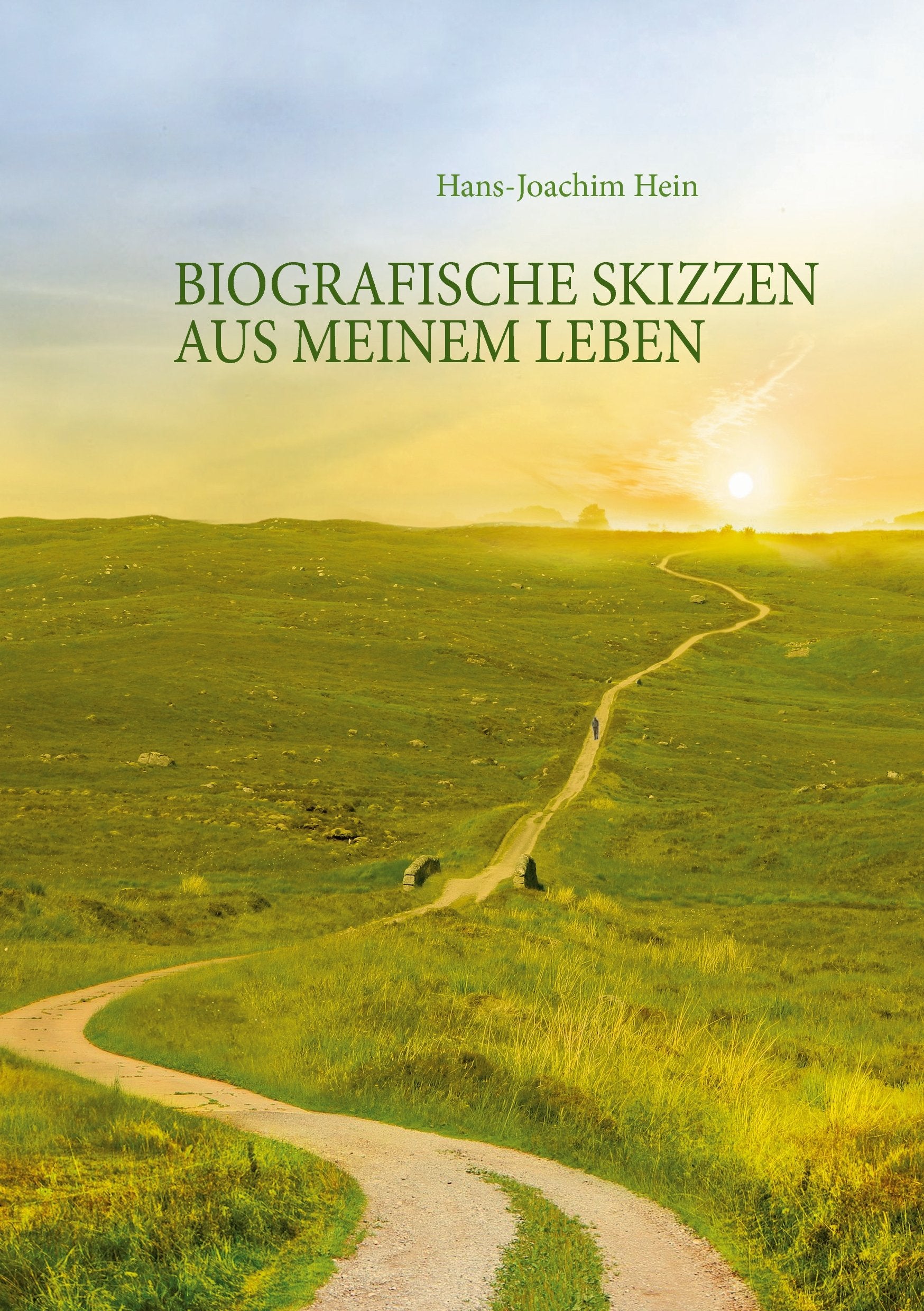 Biografische Skizzen aus meinem Leben: Die Irrfahrt durch das Leben Art & Literature