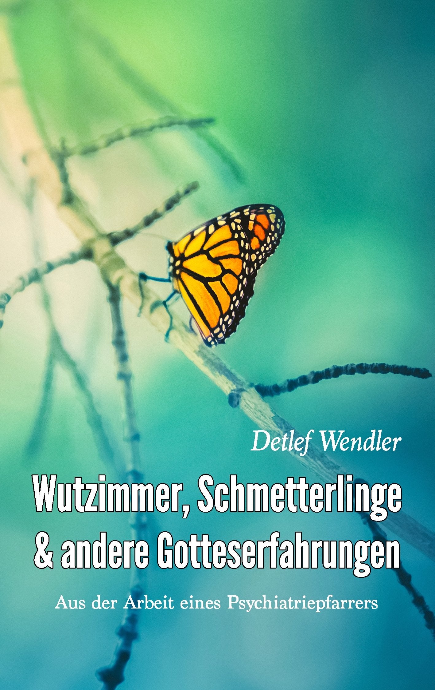 Wutzimmer, Schmetterlinge und andere Gotteserfahrungen book