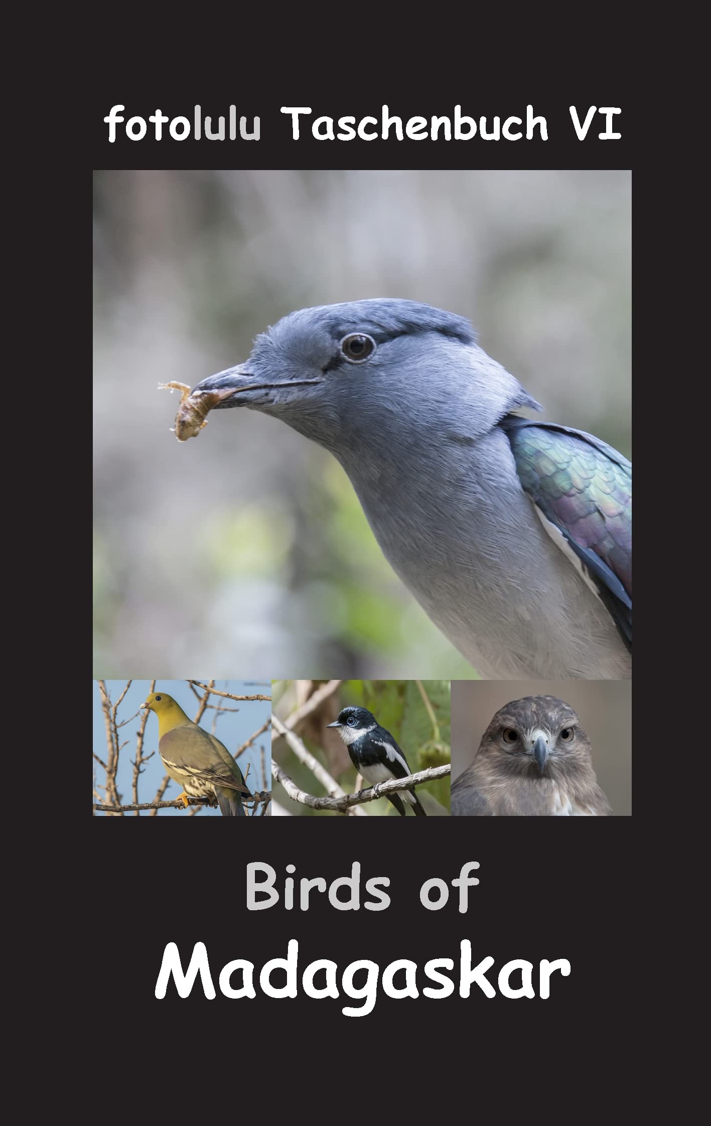 Birds of Madagaskar (fotolulu Taschenbuch) Mathematics