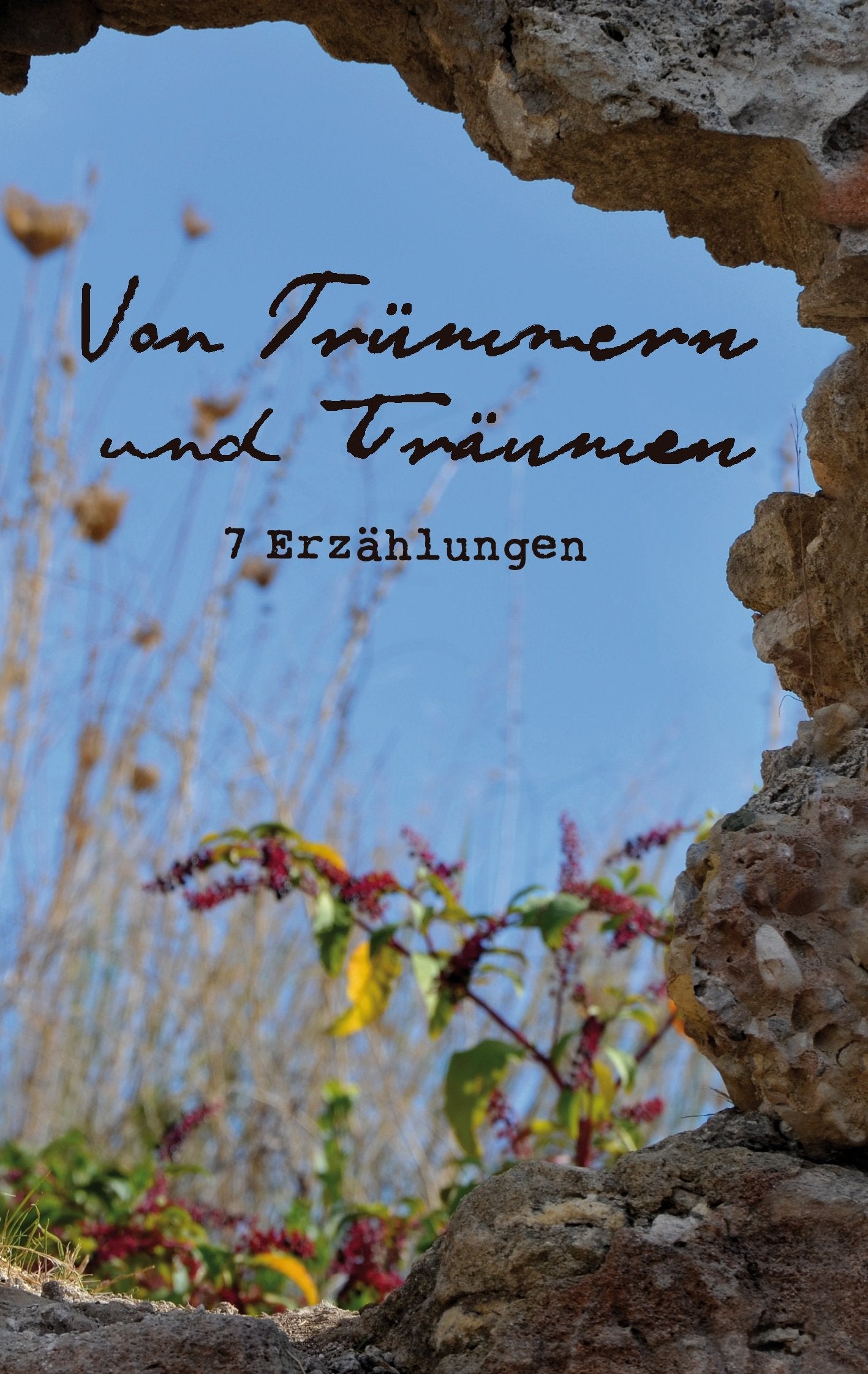 Von Trümmern und Träumen: 7 Erzählungen Essays & Short Stories