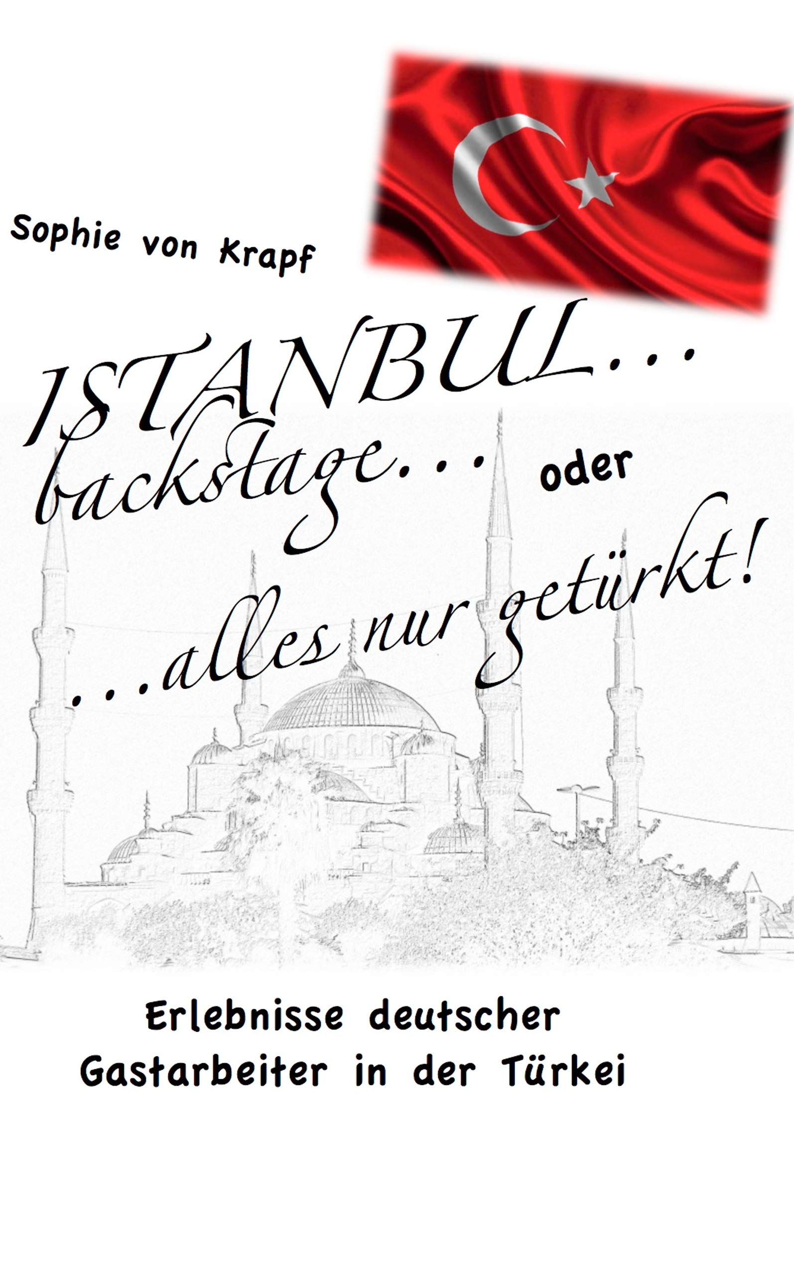 Istanbul backstage... oder alles nur getürkt Leisure, Home & Garden Books