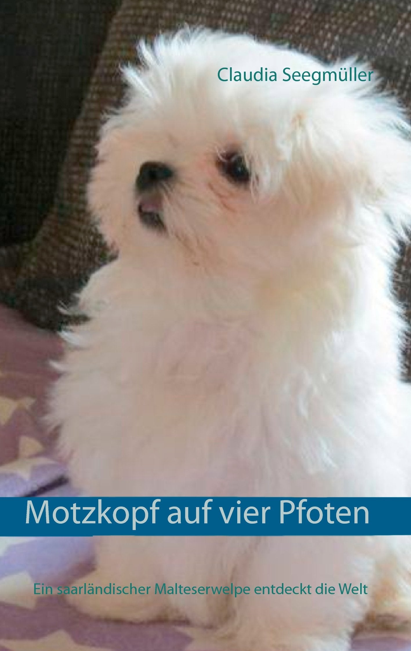Motzkopf auf vier Pfoten Pets