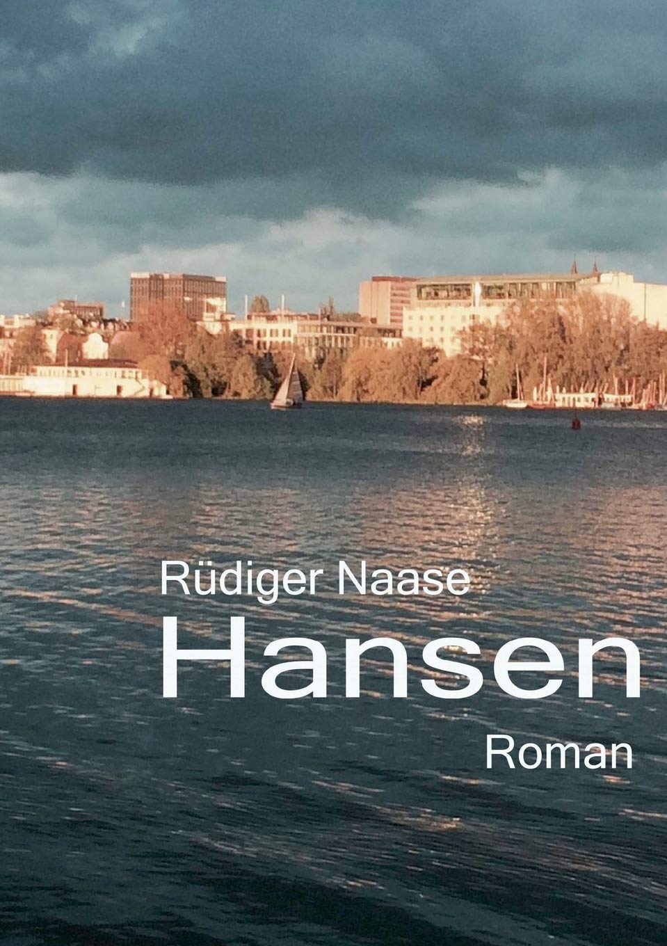 Hansen: Roman Contemporary literature Books