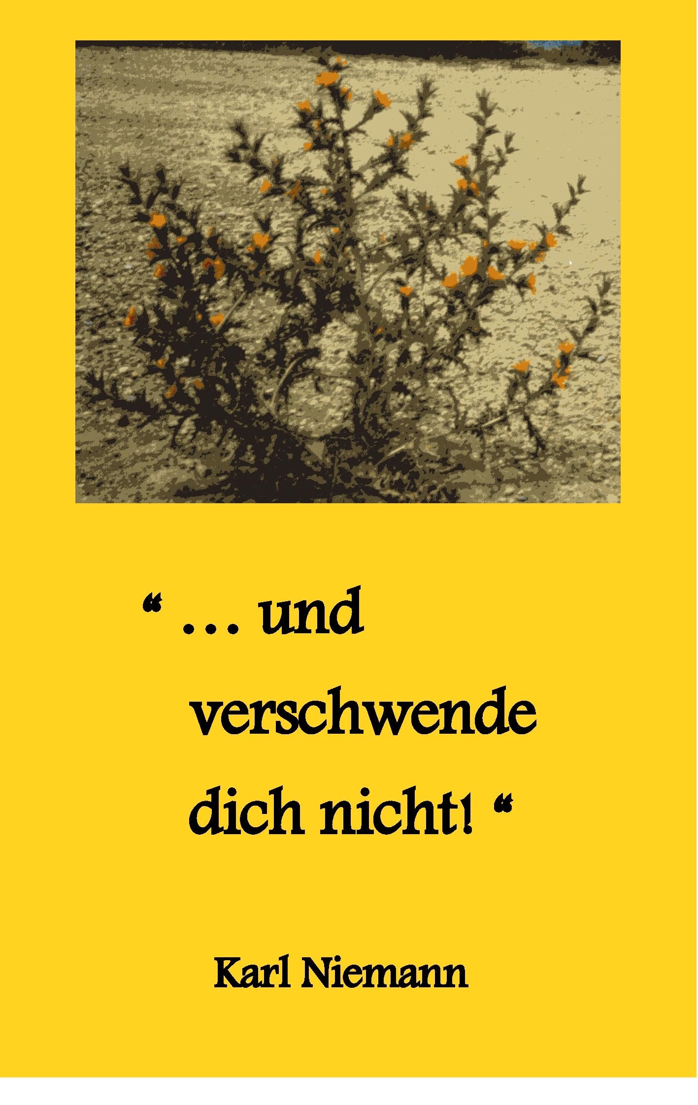"... und verschwende dich nicht!" (Libellus) Social Sciences