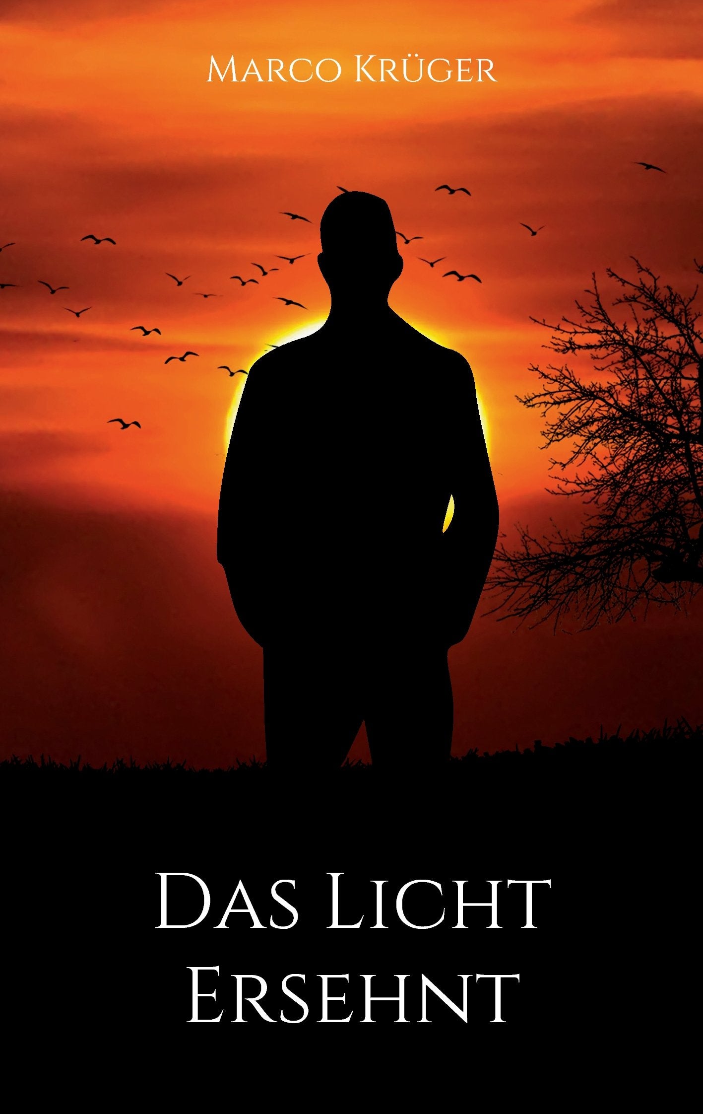 Product Image: Das Licht ersehnt