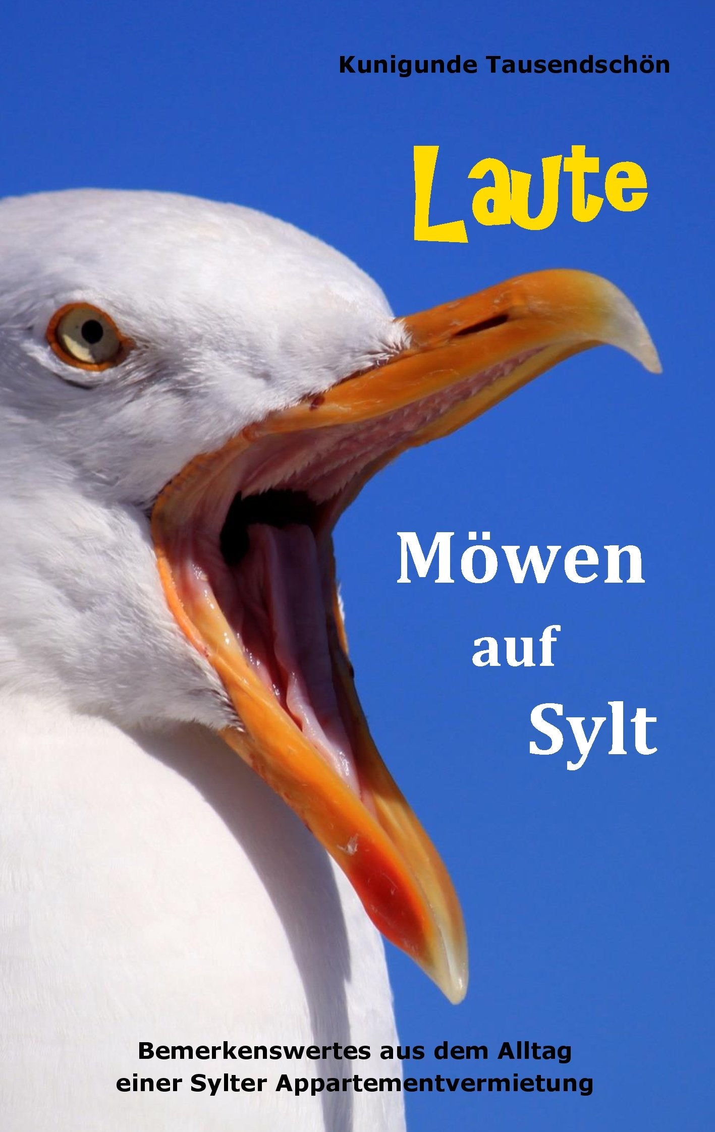 Laute Möwen auf Sylt: Bemerkenswertes aus dem Alltag einer Sylter Appartementvermietung Essays & Short Stories