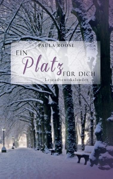Ein Platz für dich: Adventskalender Historical Fiction