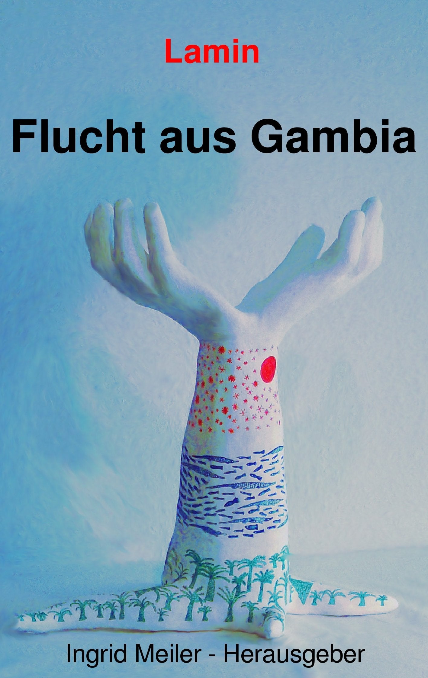 Flucht aus Gambia: Über vier Jahre auf der Flucht nach Deutschland Books