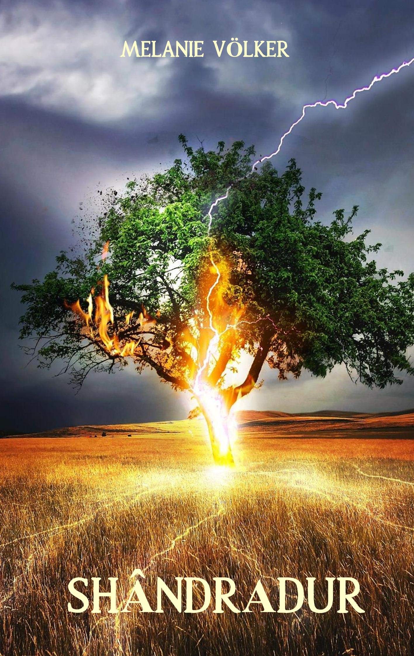 Shândradur (Flamme der Seelen) Historical Fiction