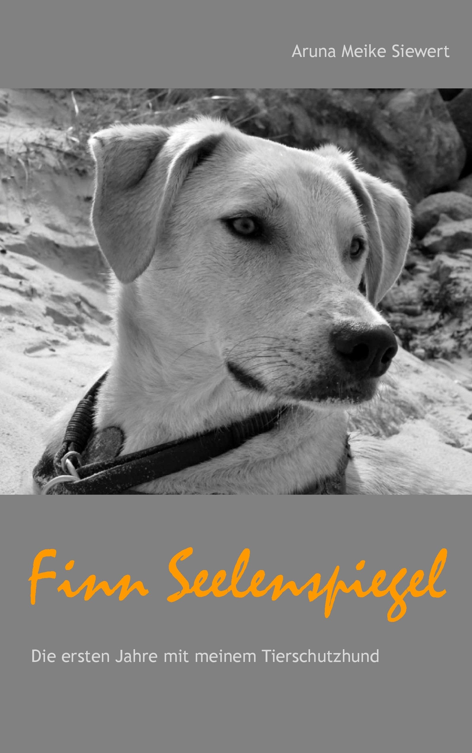 Finn Seelenspiegel: Die ersten Jahre mit meinem Tierschutzhund Memories