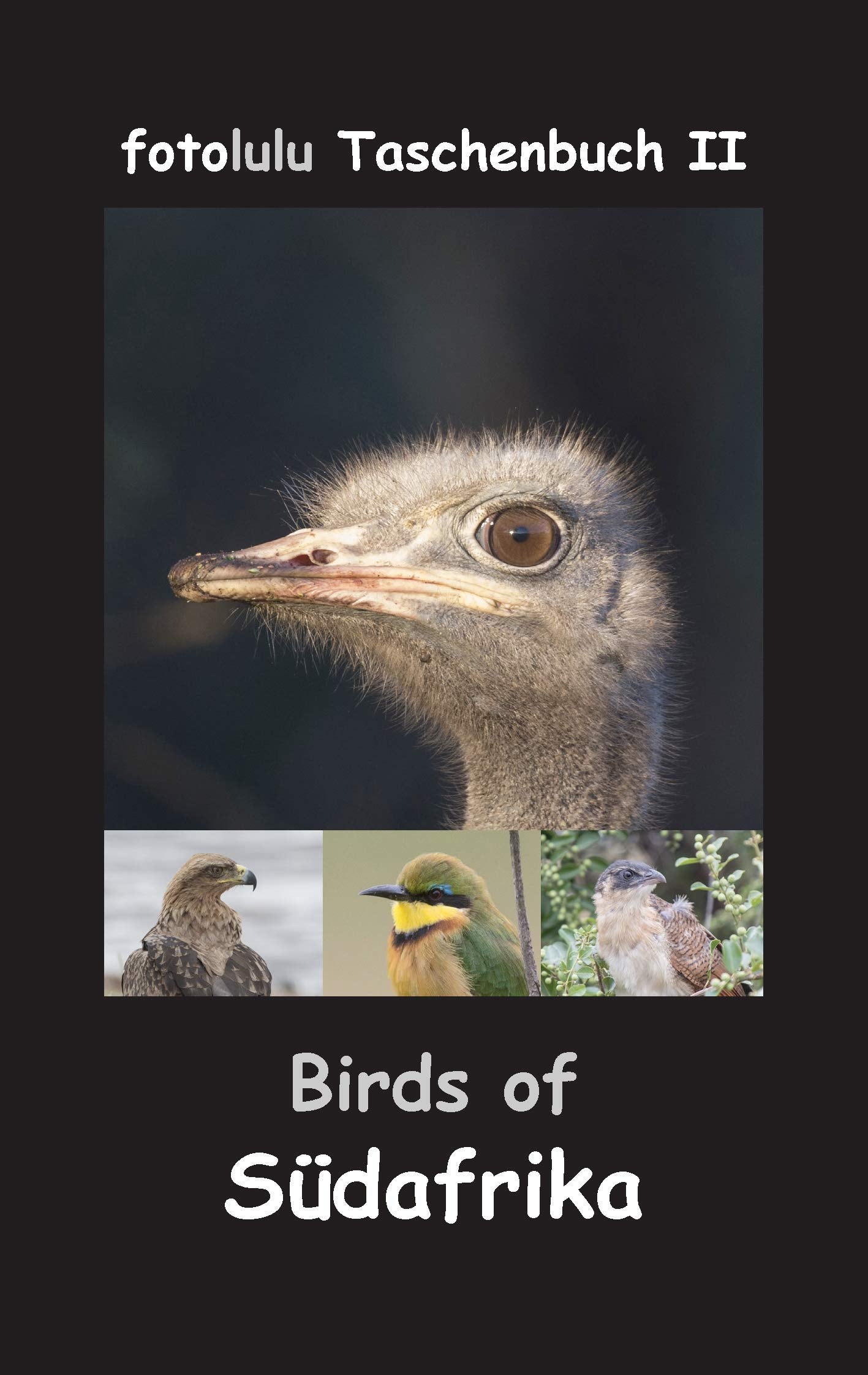 Birds of Südafrika (fotolulu Taschenbuch) Mathematics