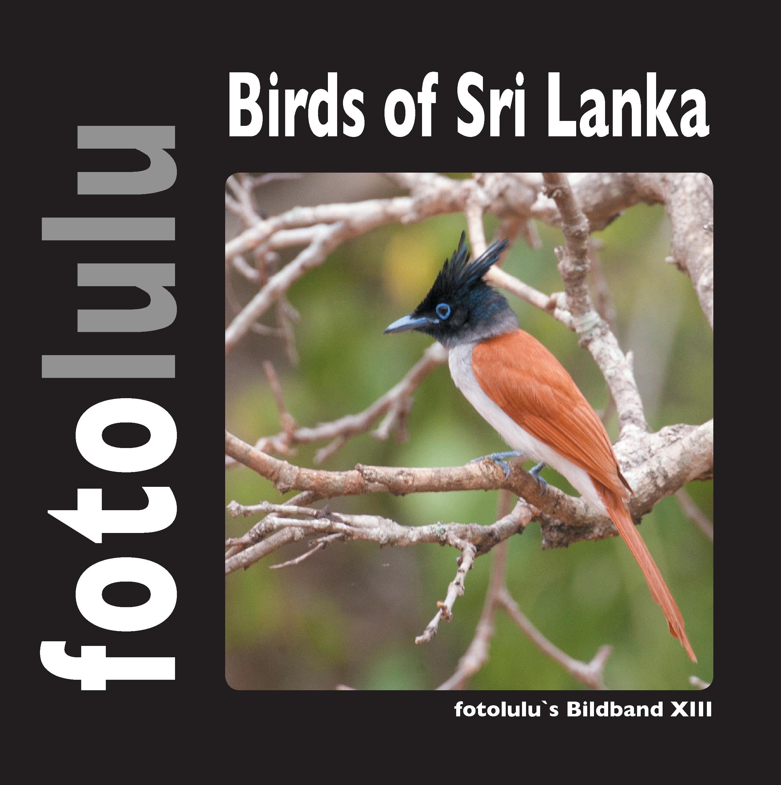 Birds of Sri Lanka: fotolulu's Bildband XIII Architecture