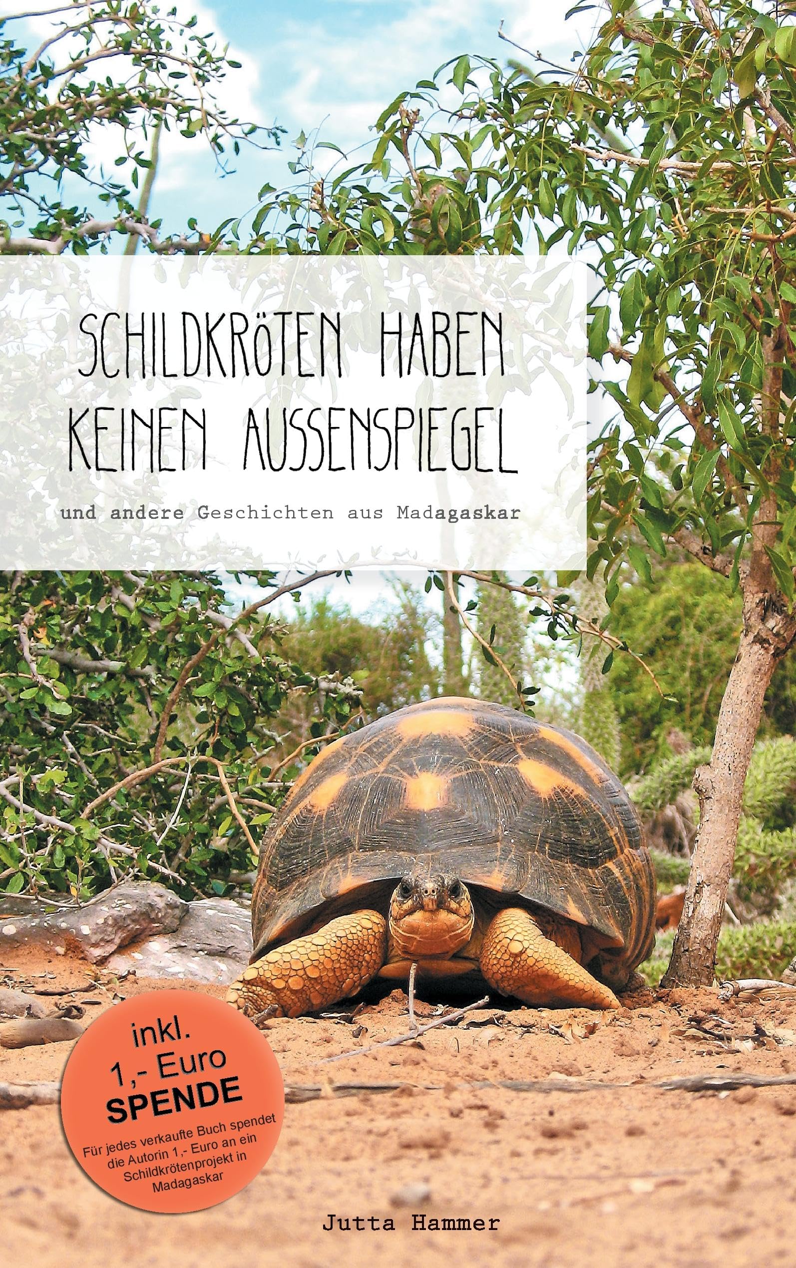 Schildkröten haben keinen Außenspiegel Leisure, Home & Garden