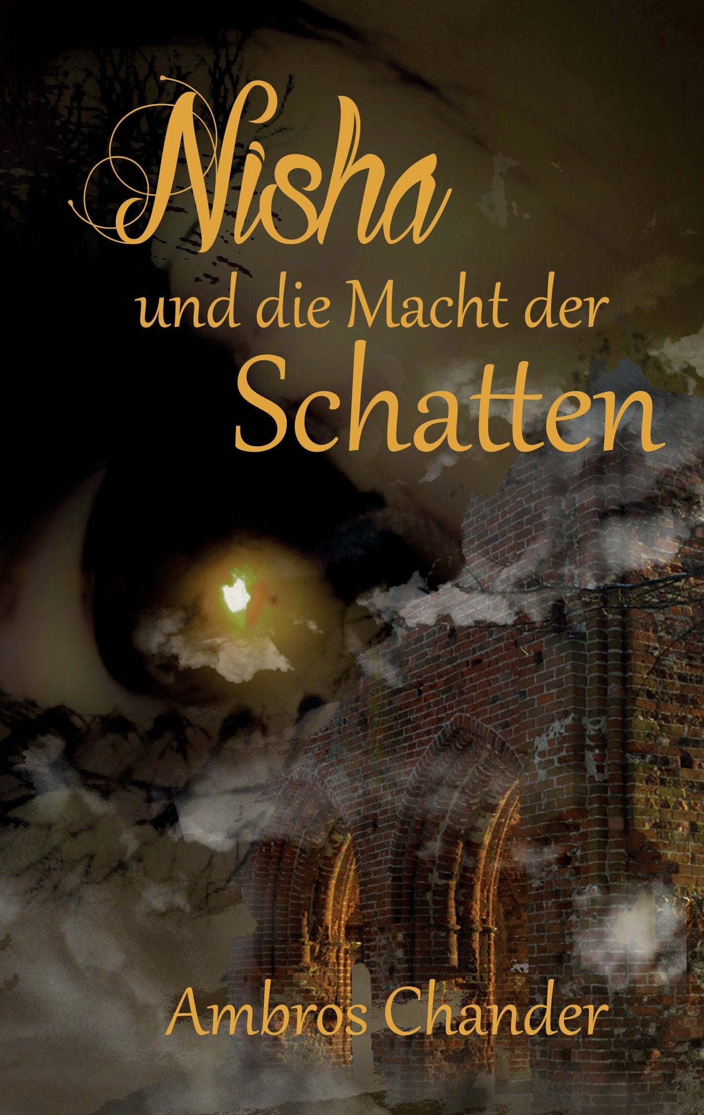 Nisha und die Macht der Schatten Contemporary literature