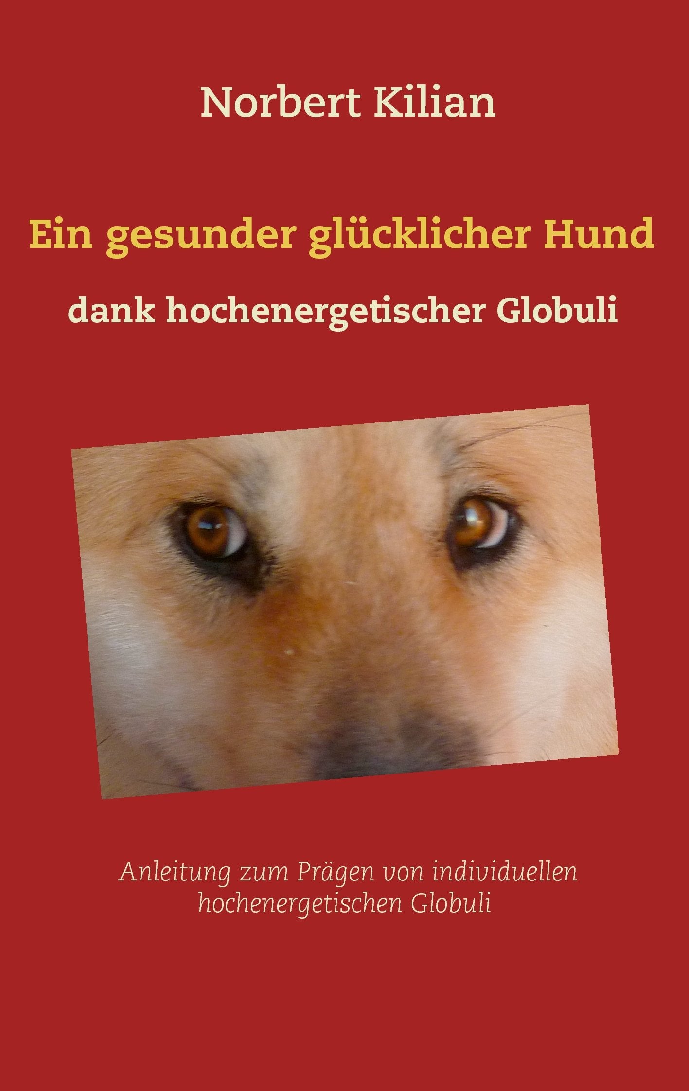 Ein gesunder glücklicher Hund dank hochenergetischer Globuli Medicine