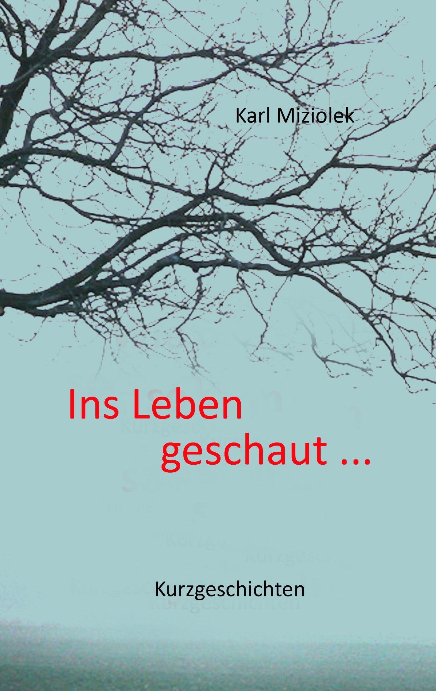 Product Image: Ins Leben geschaut ...