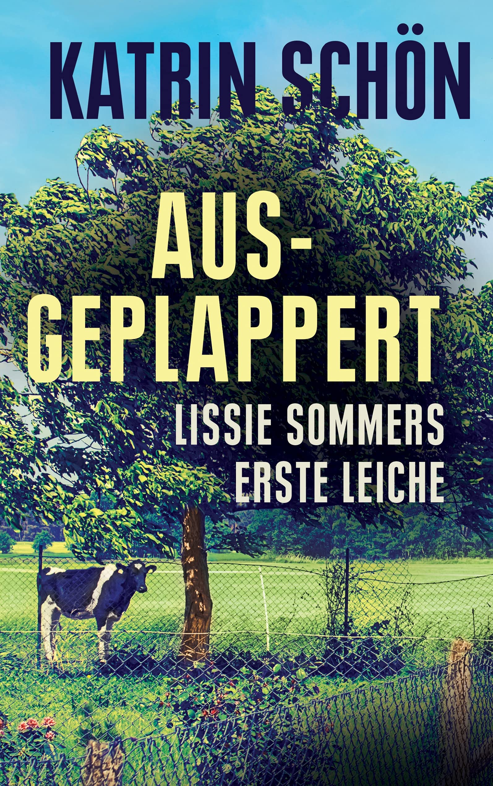 Product Image: Ausgeplappert