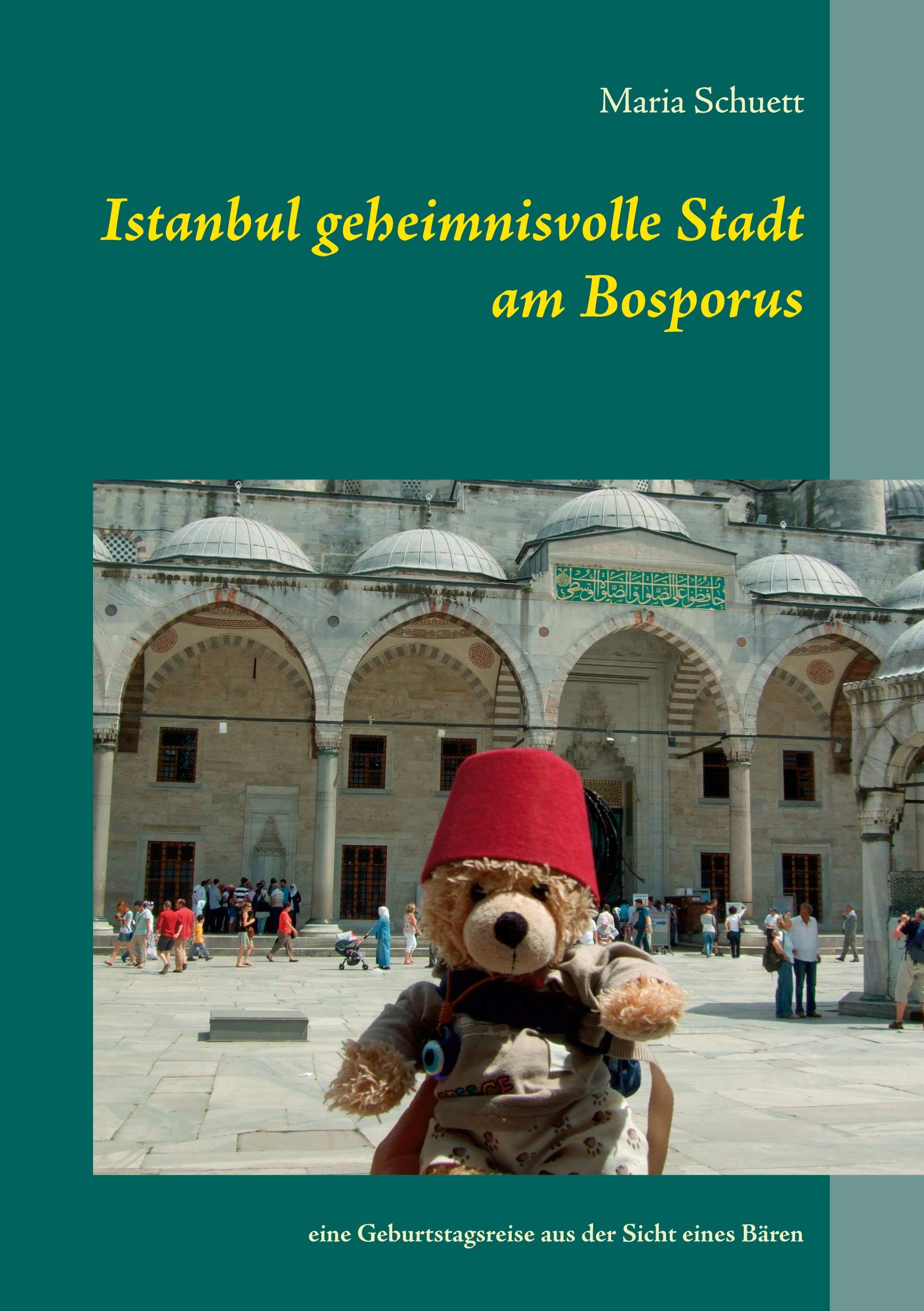 Schuett, M: Istanbul geheimnisvolle Stadt am Bosporus Leisure, Home & Garden