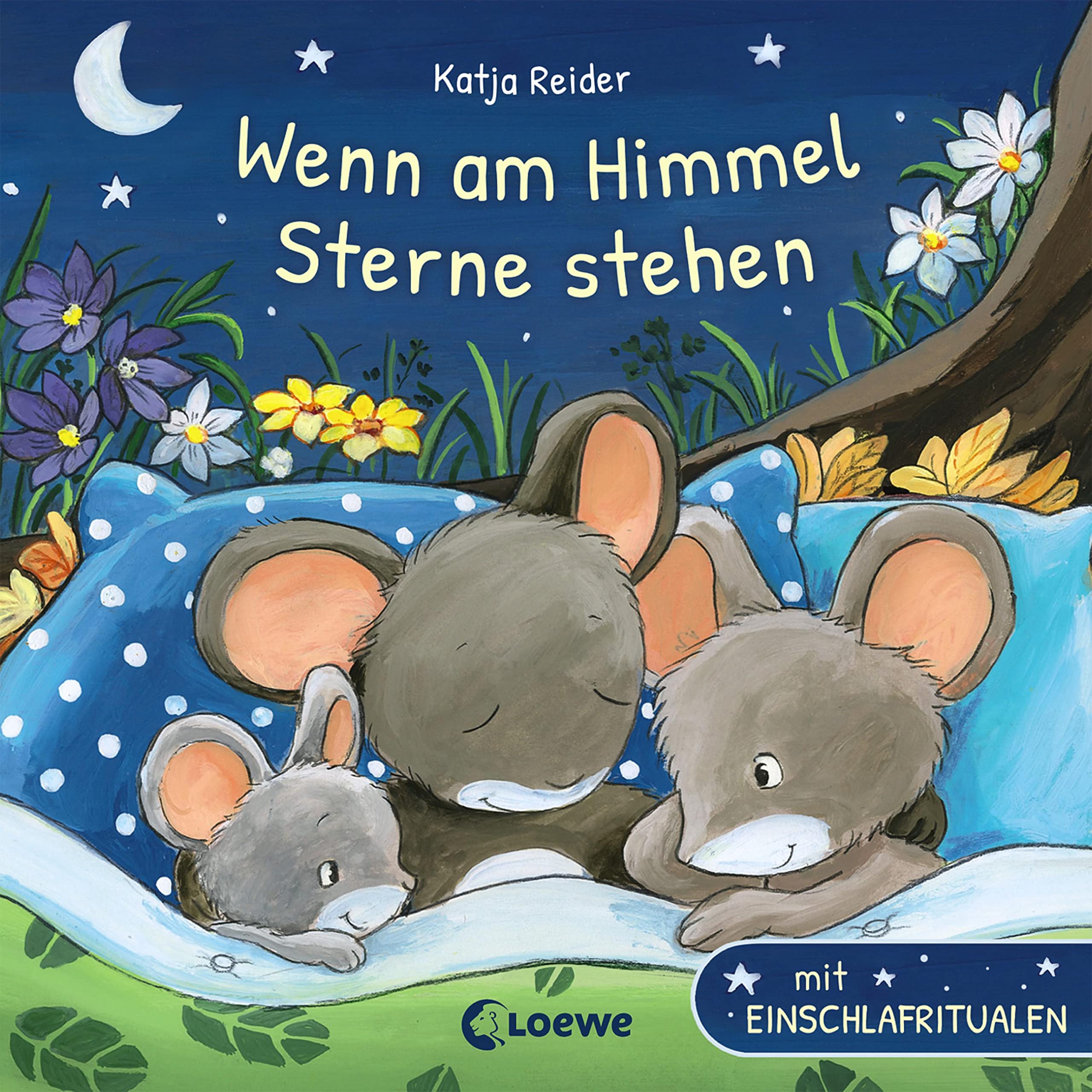 Wenn am Himmel Sterne stehen Contemporary literature
