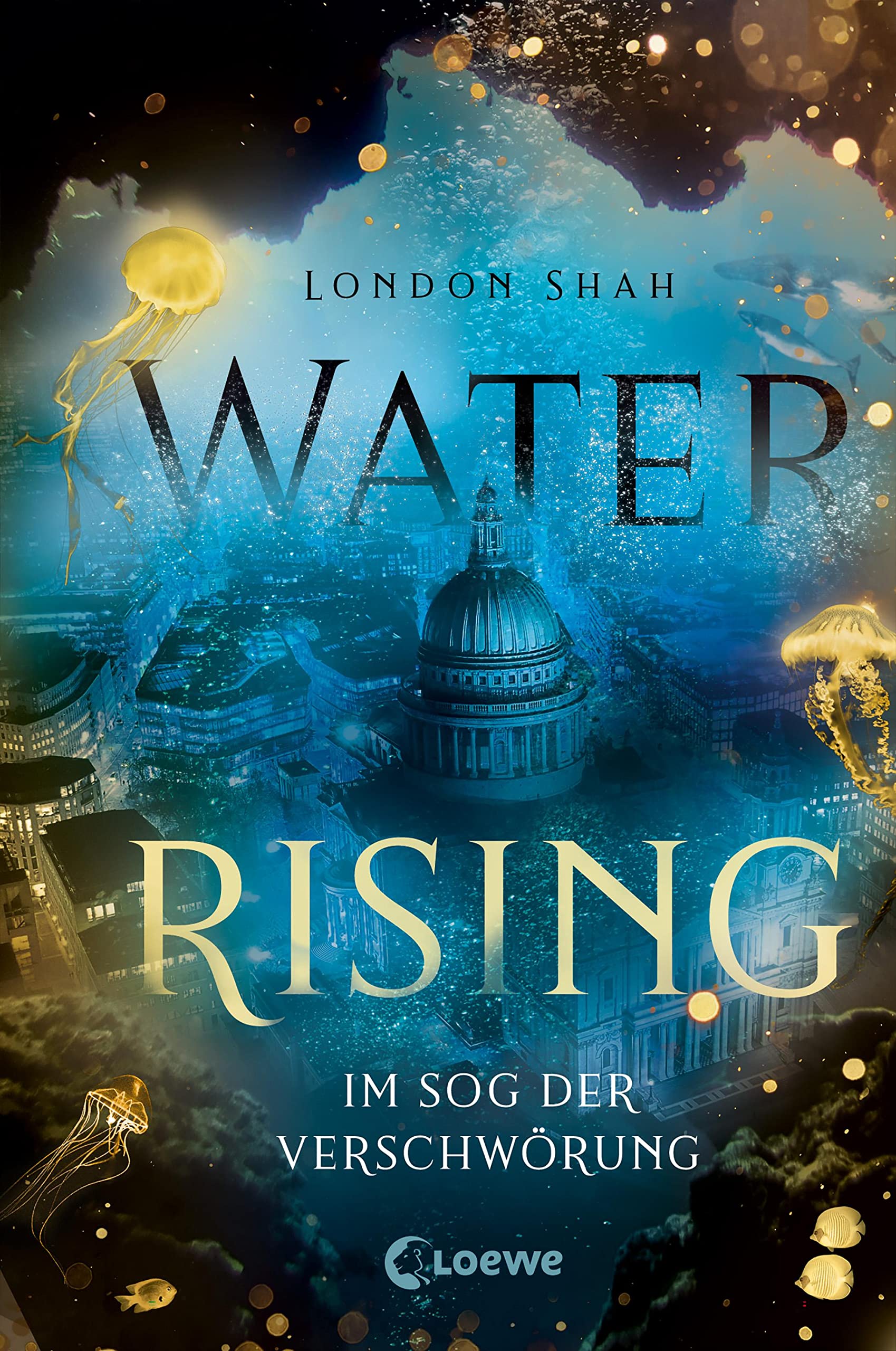 Water Rising (Band 2) - Im Sog der Verschwörung Contemporary literature